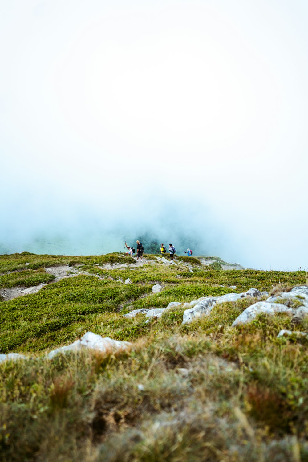 a group of people standing on top of a lush green hillside