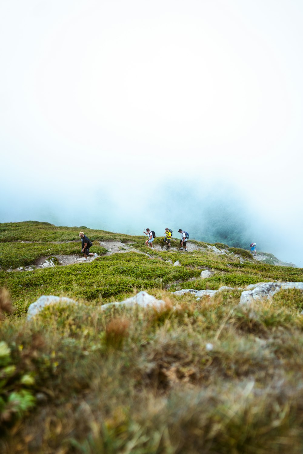 a group of people hiking up a grassy hill