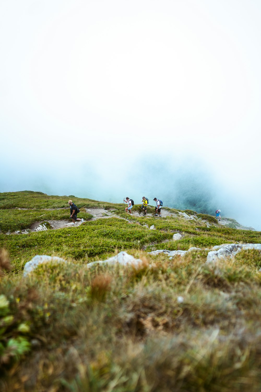 Un gruppo di persone che camminano su una collina erbosa