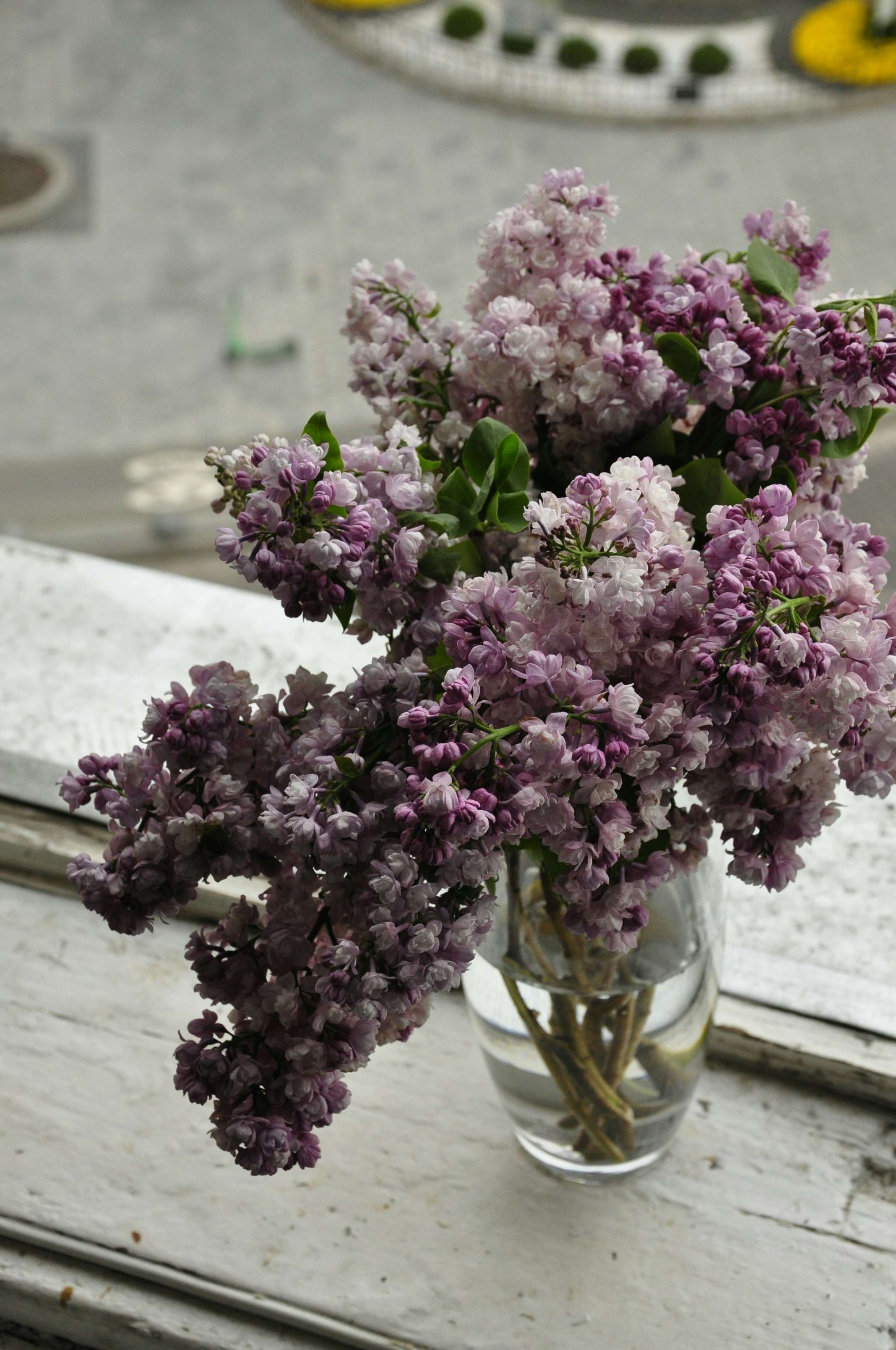 Photo by blackpumpkin