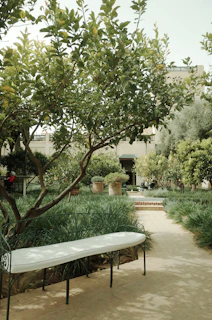 A serene garden in Madinah with native plants and shaded seating areas.