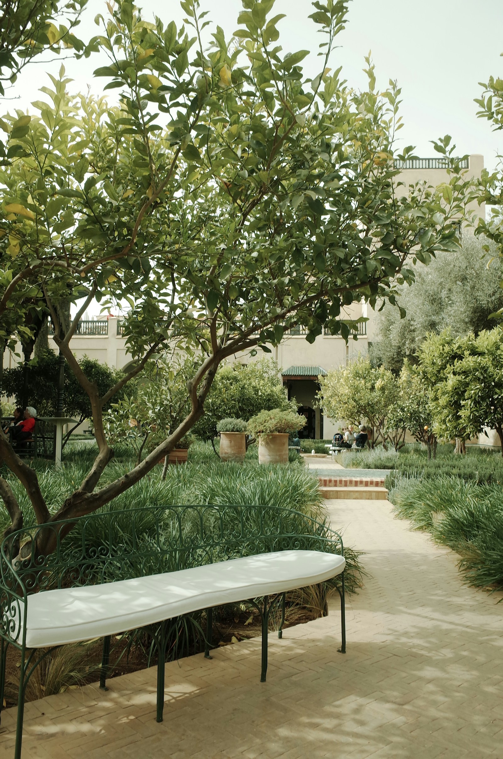 A white bench under a tree in a quiet garden — Garner project, La Jolla
