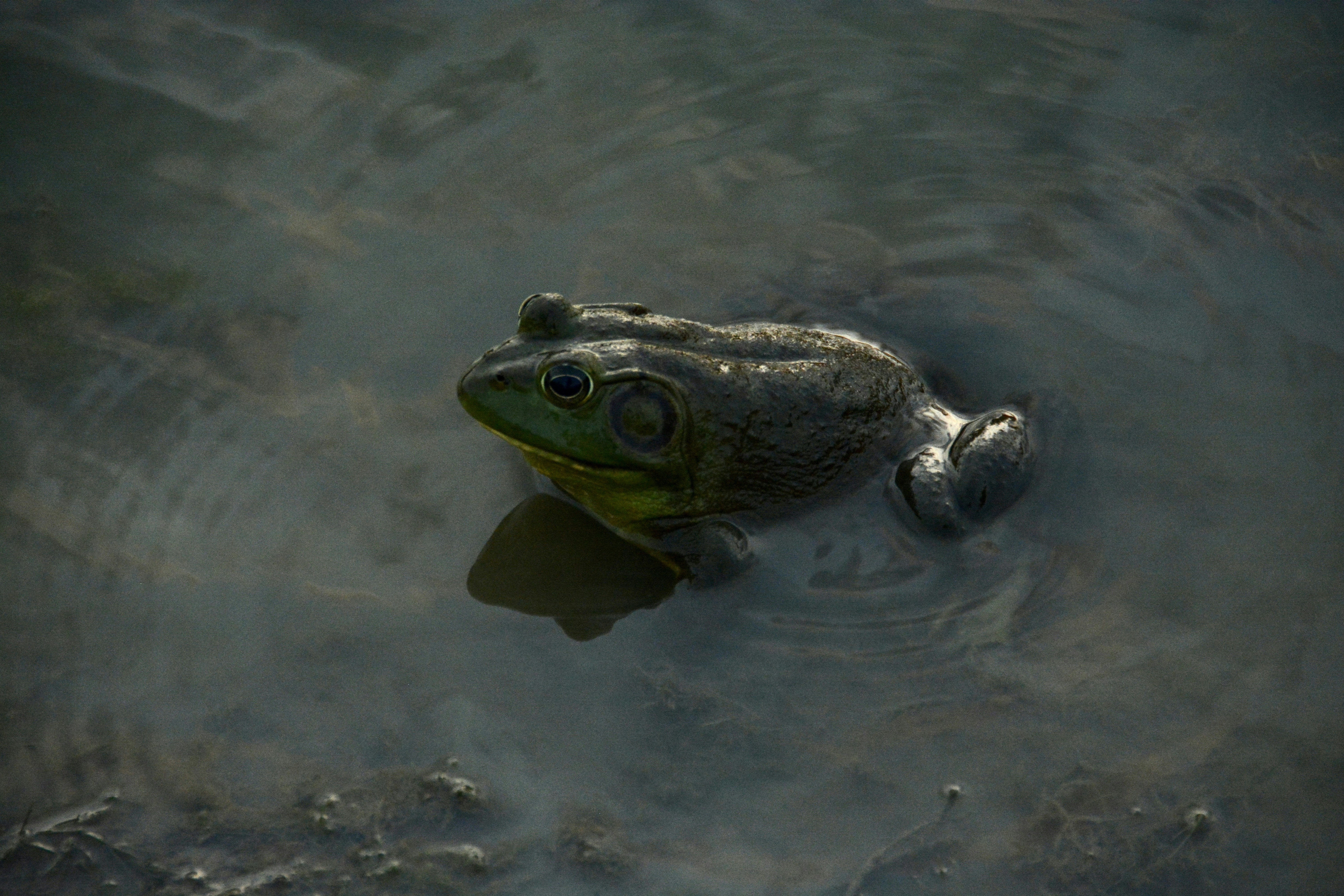 The Miraculous Return to Life (image credits: unsplash)