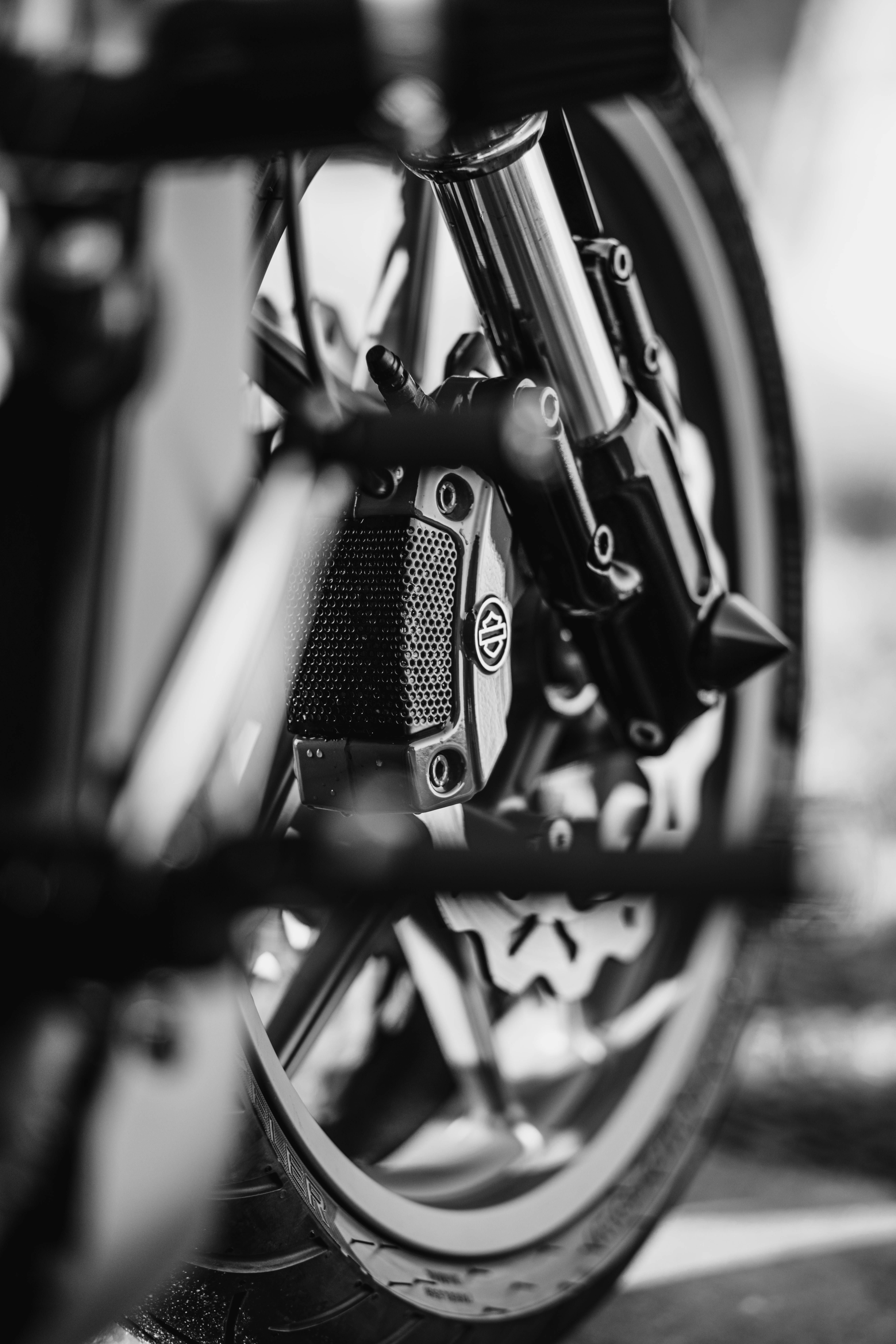 Photo by brunovdkraan