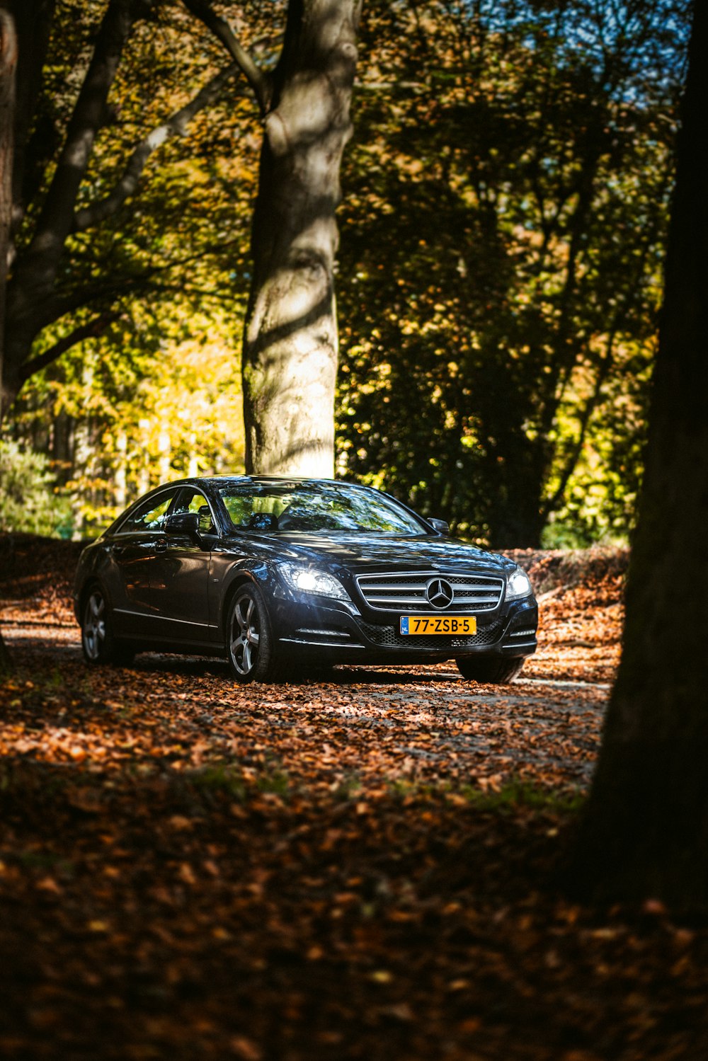 a car parked in the middle of a forest