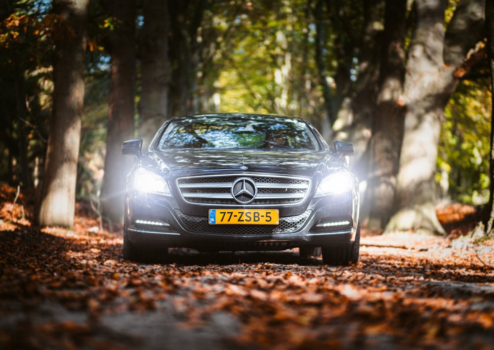 a car driving down a road surrounded by trees