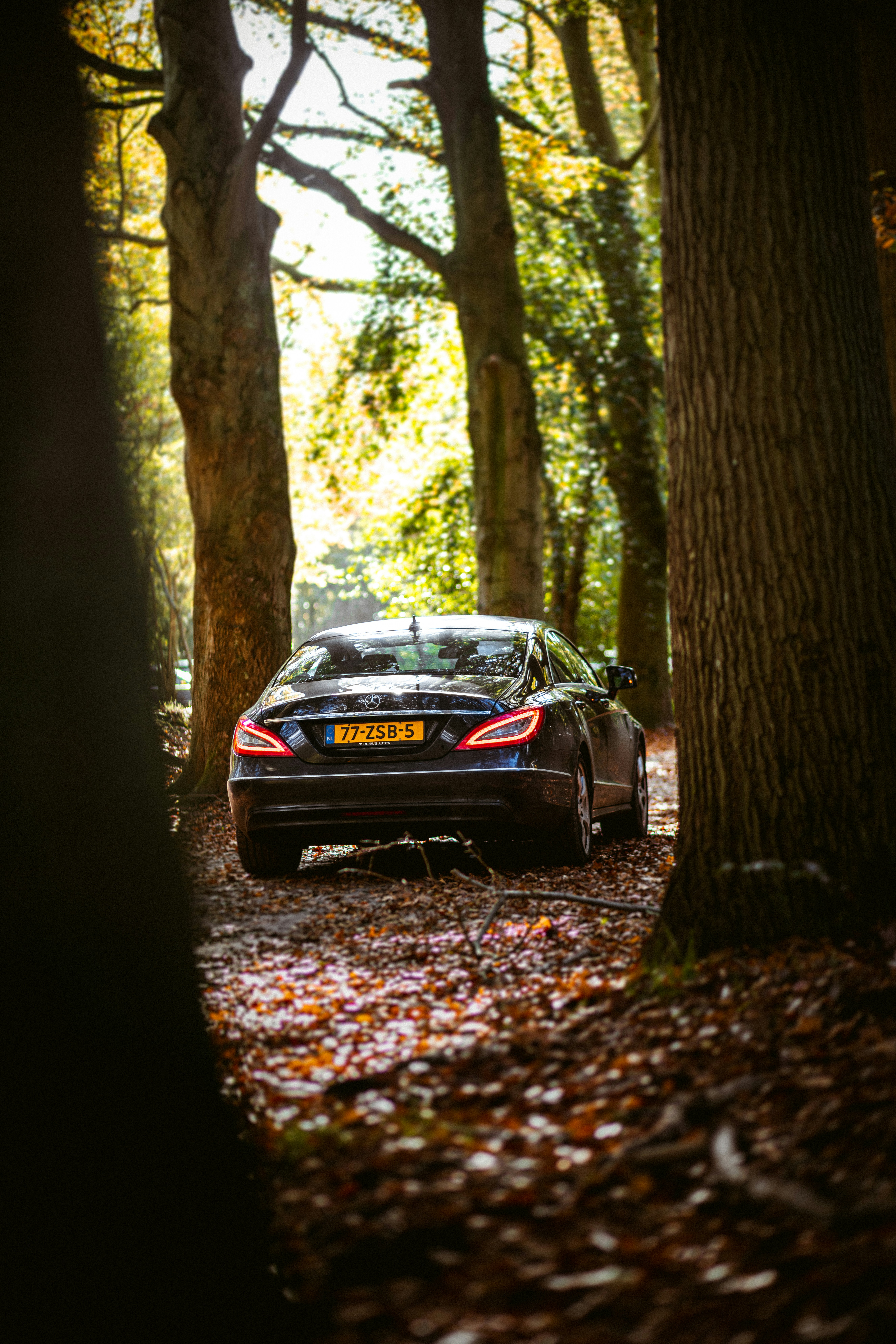 Photo by brunovdkraan