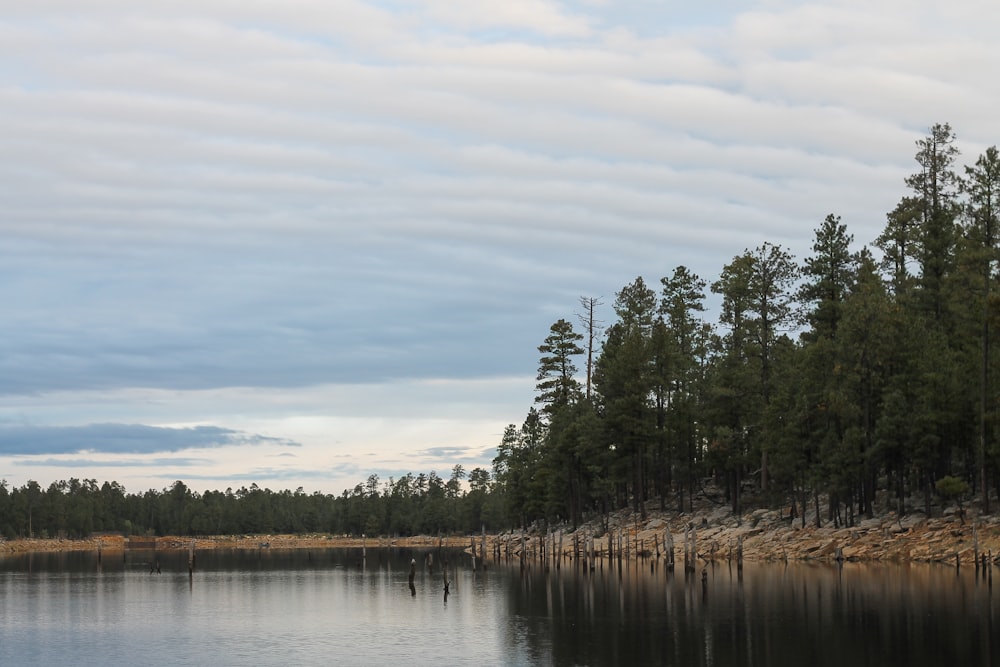 a body of water surrounded by trees under a cloudy sky