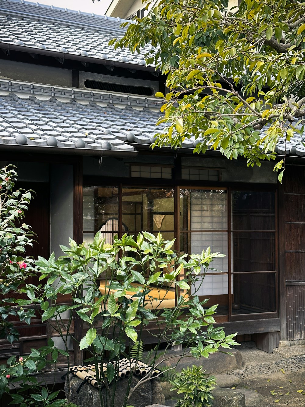 a small building with a tree in front of it