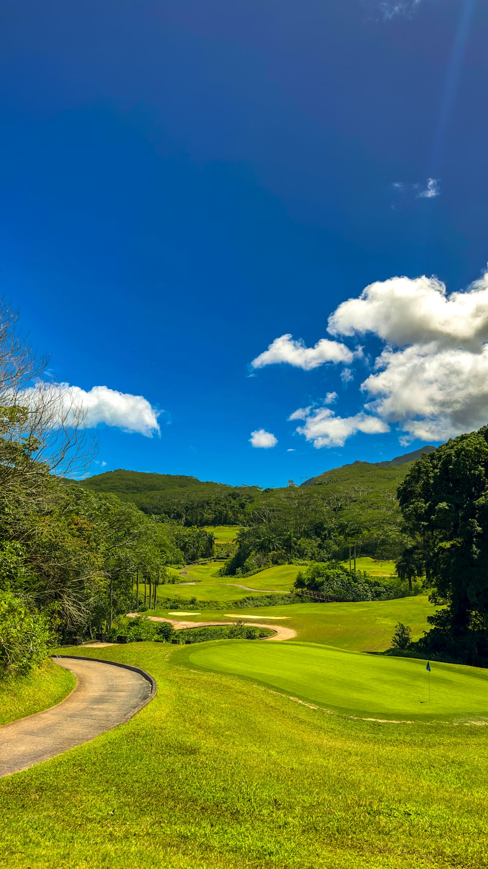 Ein malerischer Blick auf einen grünen Golfplatz