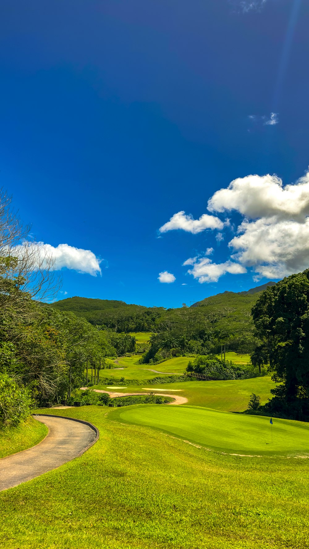 uma vista panorâmica de um campo de golfe verde