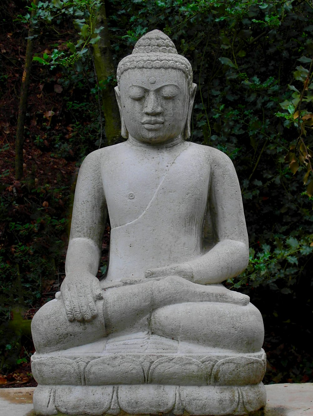 a statue of a buddha sitting in the middle of a forest