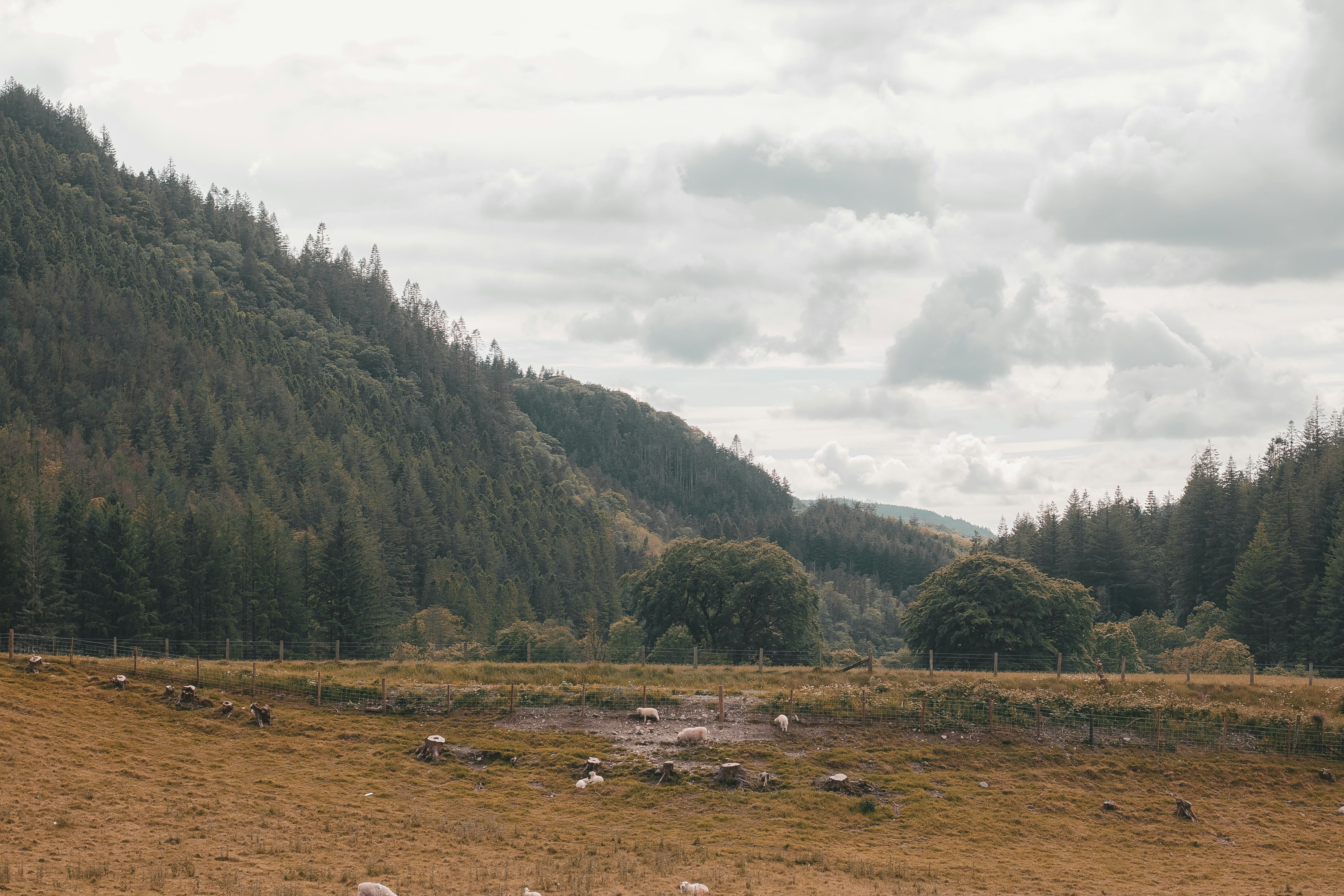 Photo by archie_reed