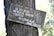 A wooden sign with white Spanish text is attached to the trunk of a tree. The text reads 'EL SILENCIO NO PUEDE SEGUIR SIENDO MI LENGUAJE - JORGE TEILLIER.' The sign appears weathered and the tree trunk is textured with rough bark. The background features out-of-focus foliage.