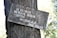 A wooden sign with white Spanish text is attached to the trunk of a tree. The text reads 'EL SILENCIO NO PUEDE SEGUIR SIENDO MI LENGUAJE - JORGE TEILLIER.' The sign appears weathered and the tree trunk is textured with rough bark. The background features out-of-focus foliage.
