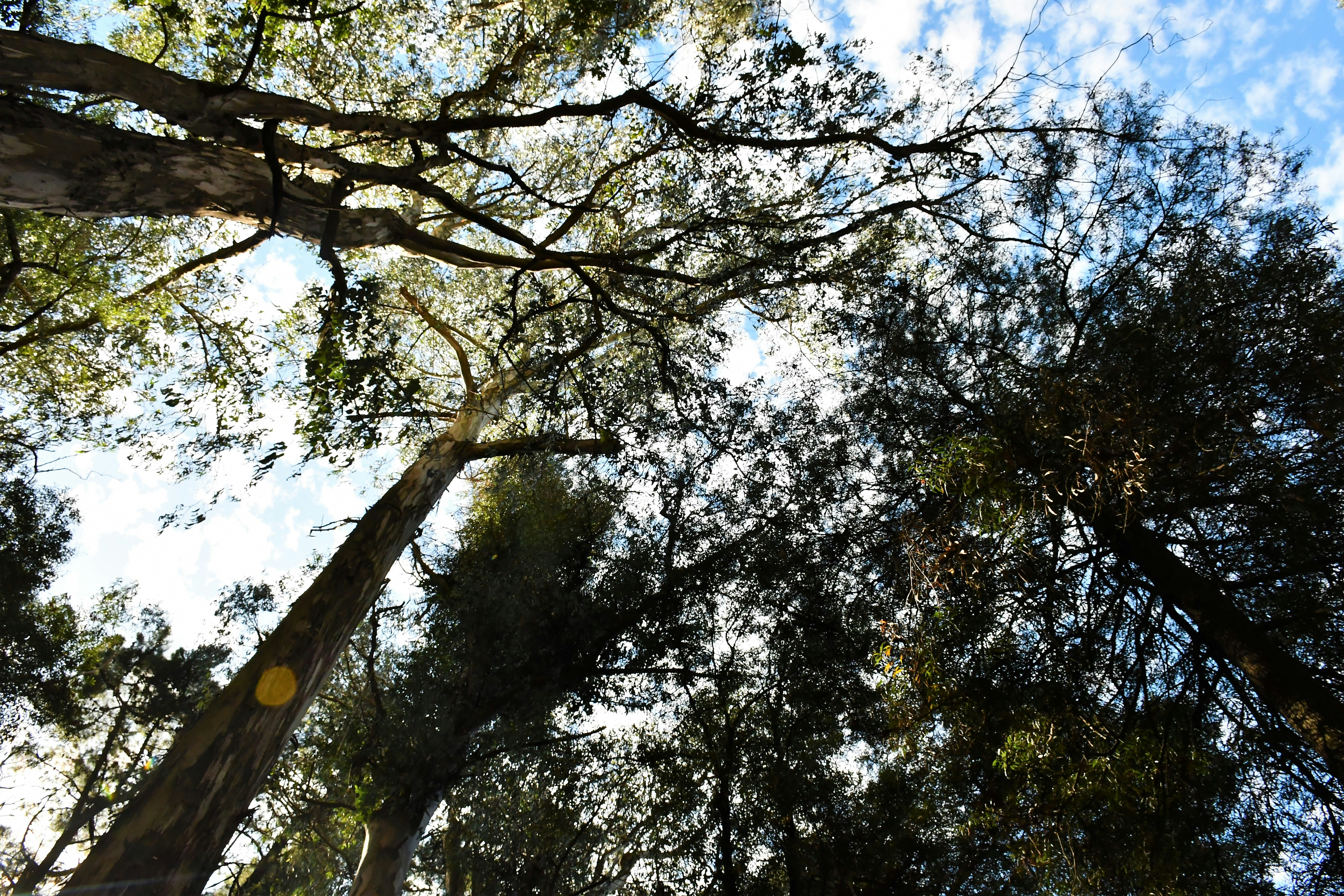 Photo by raponchi404