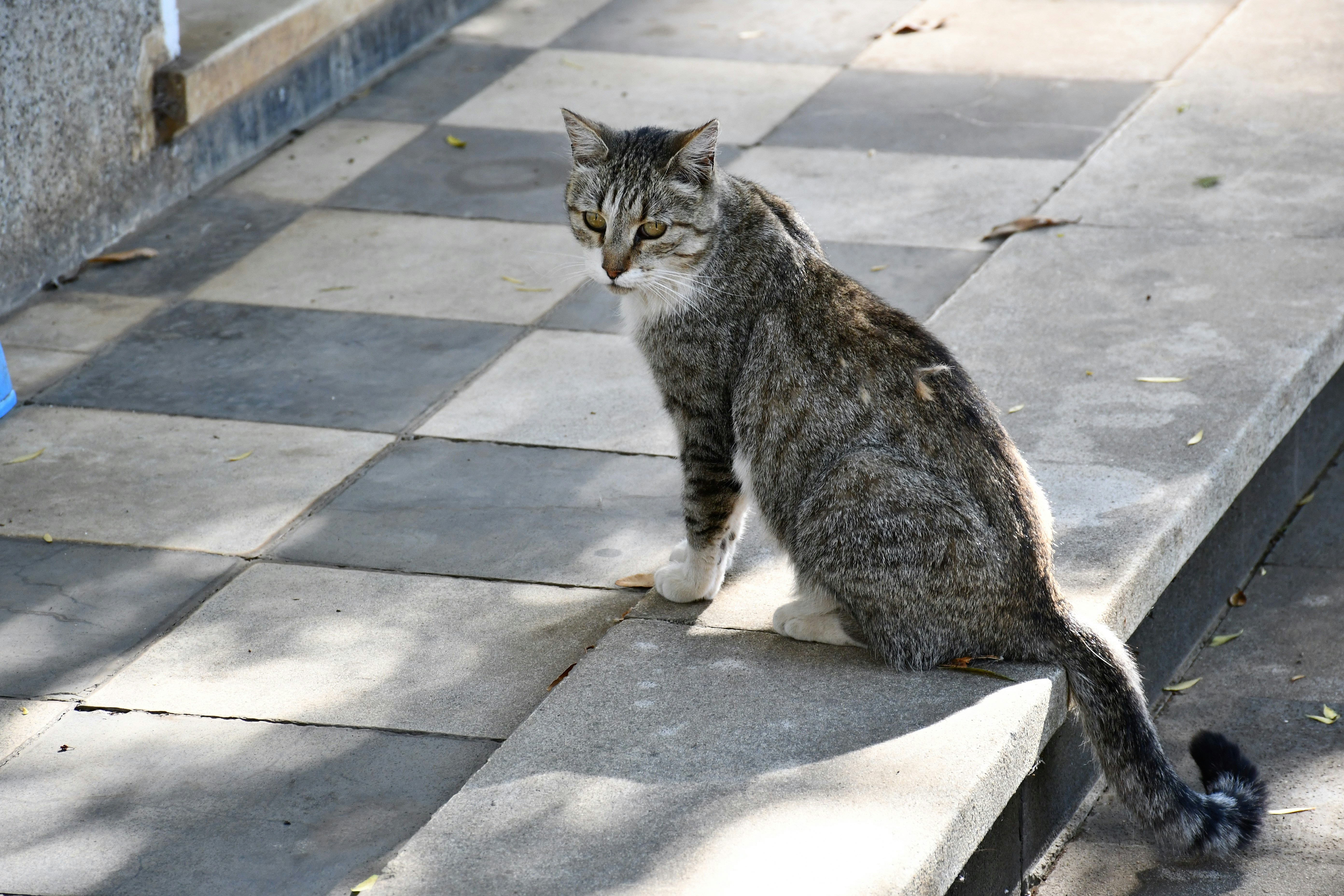 Photo by raponchi404