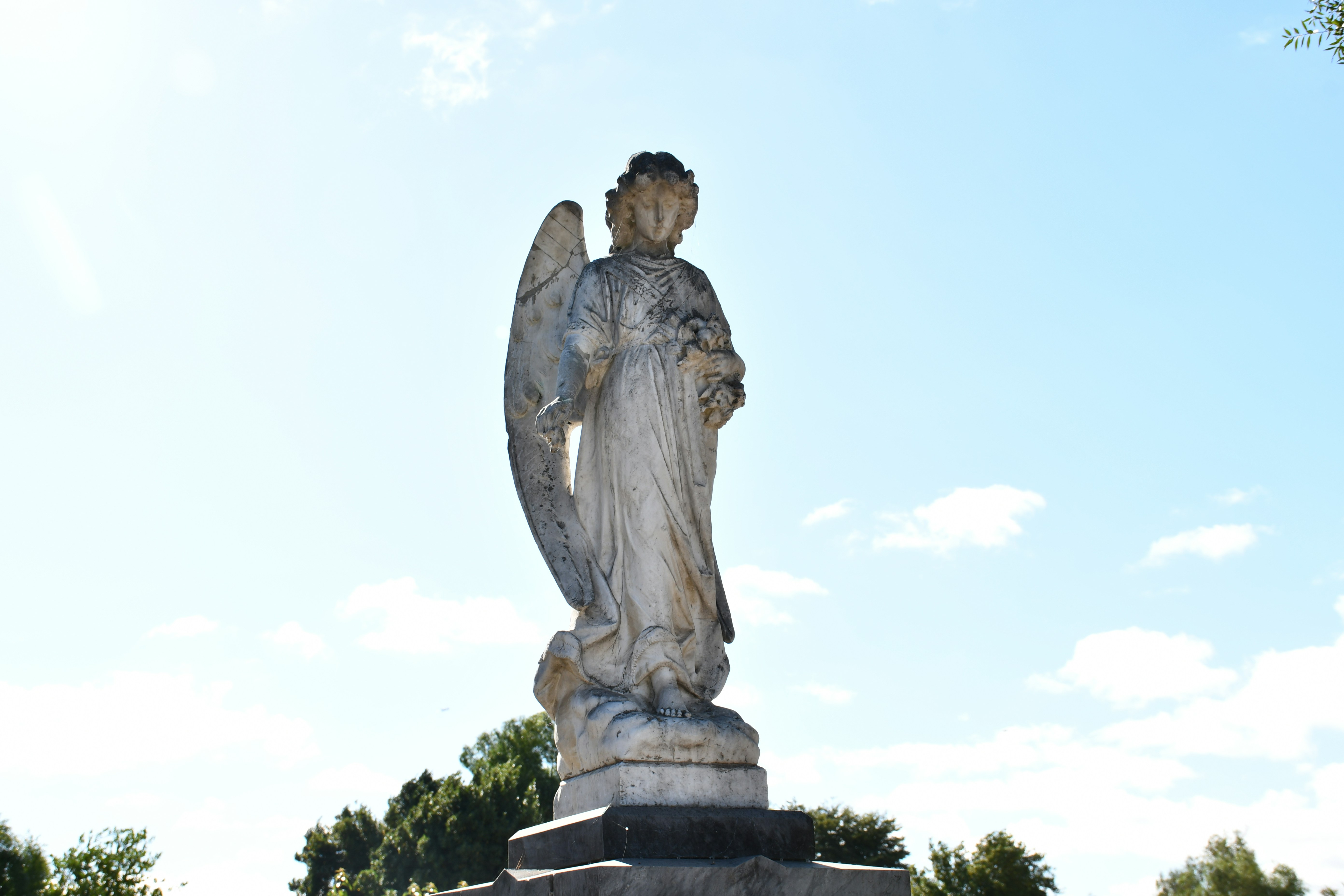 Photo by raponchi404