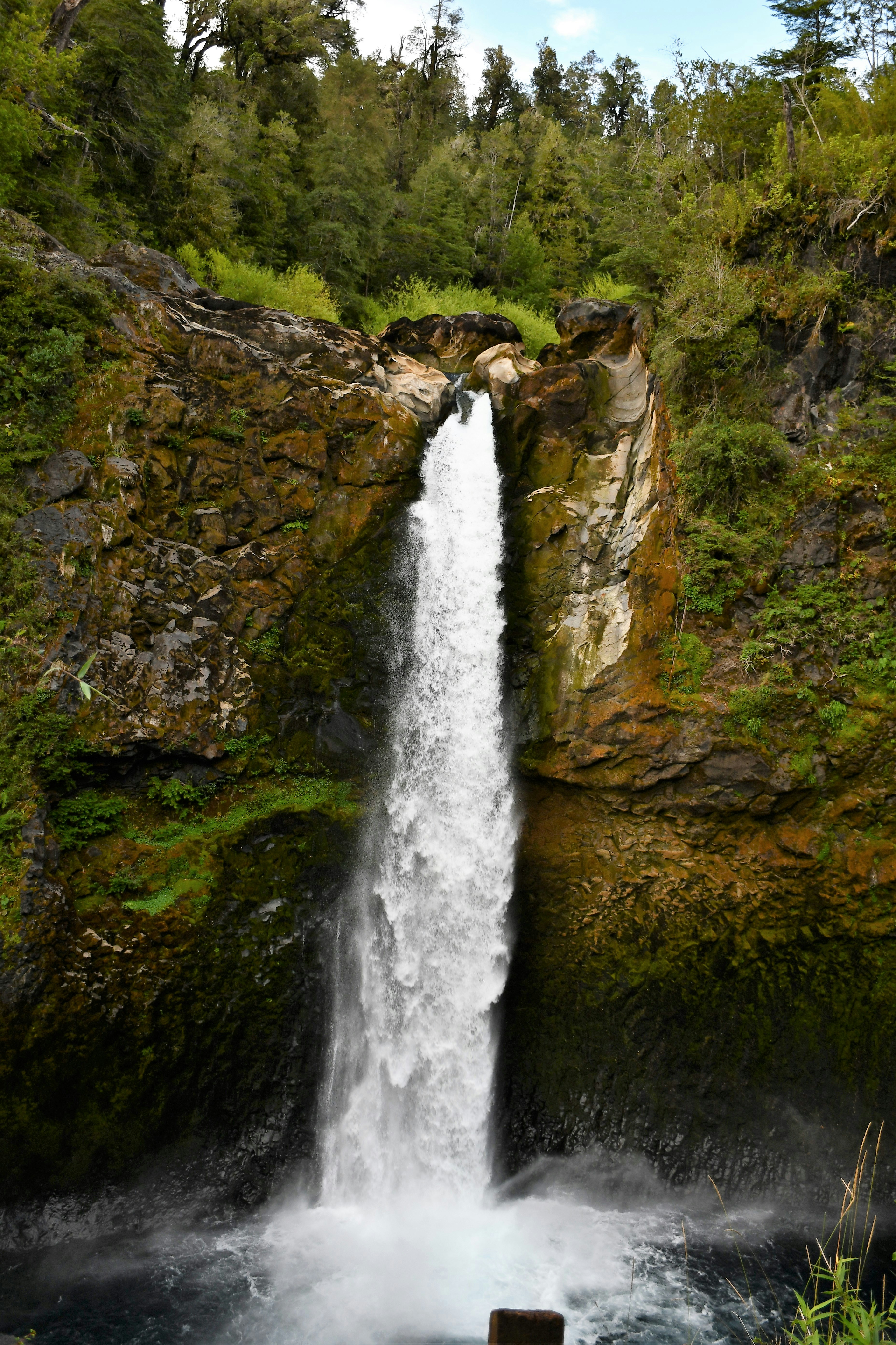 Photo by raponchi404