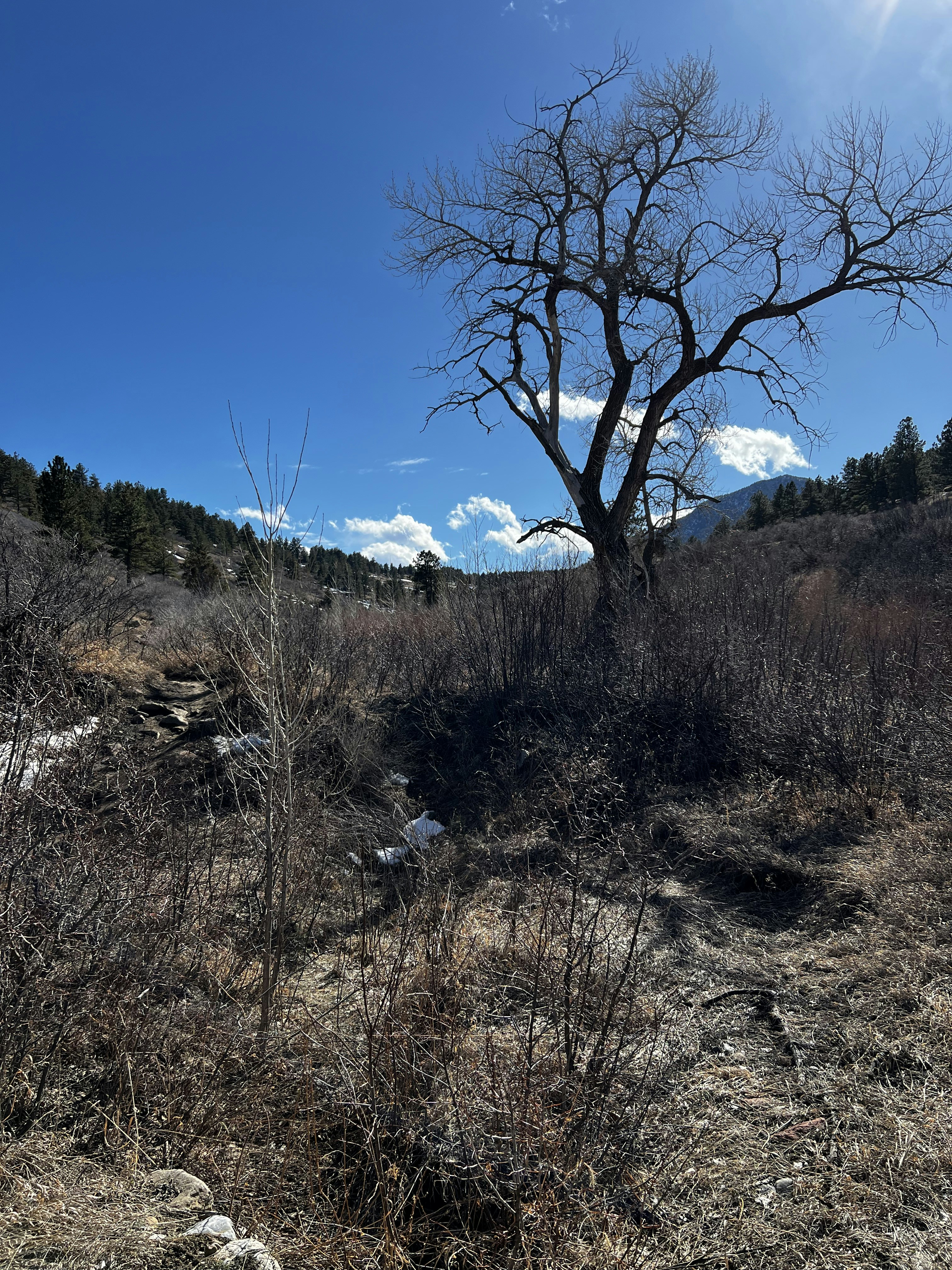 Photo by laitonbarbo