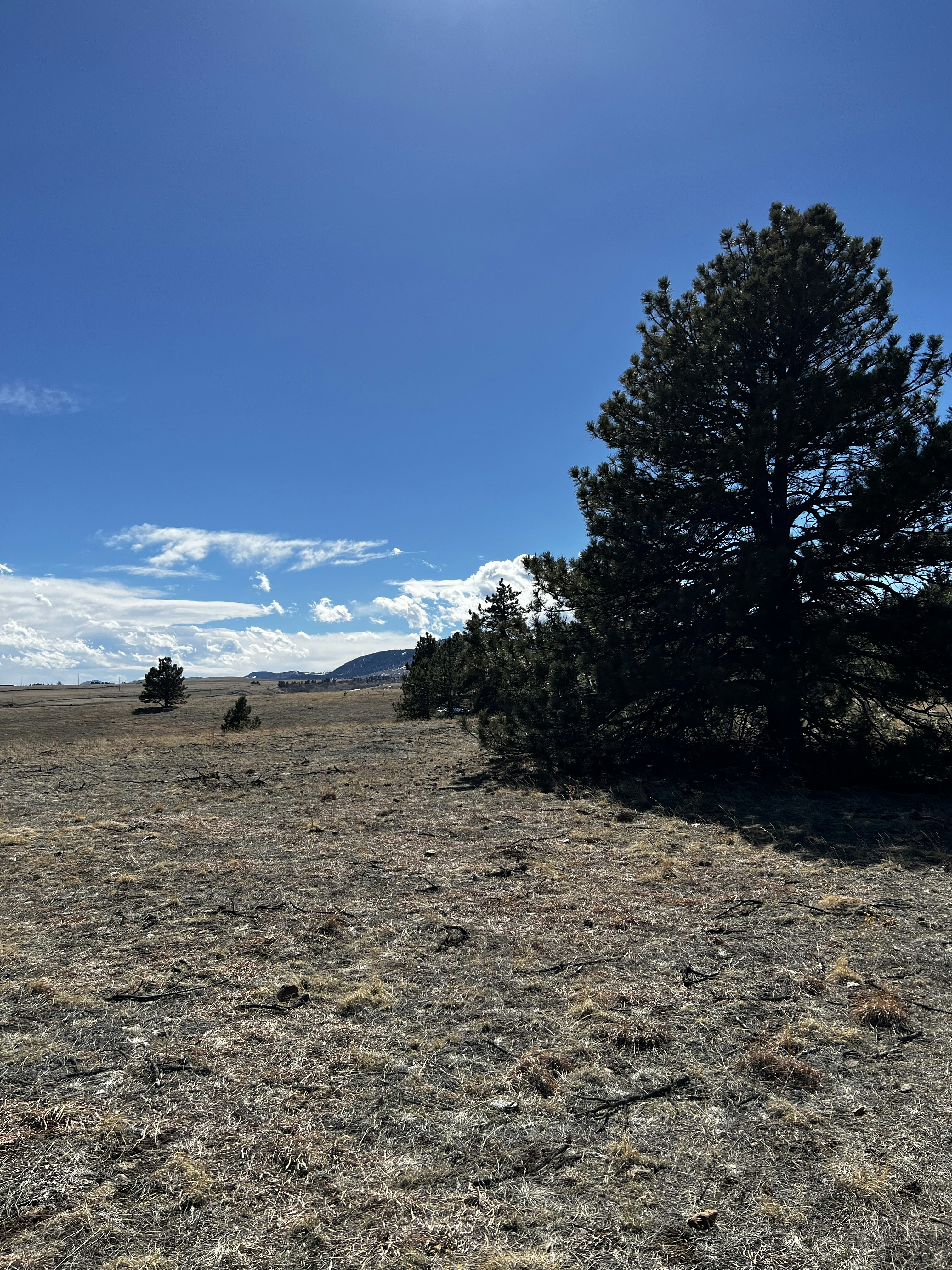 Photo by laitonbarbo