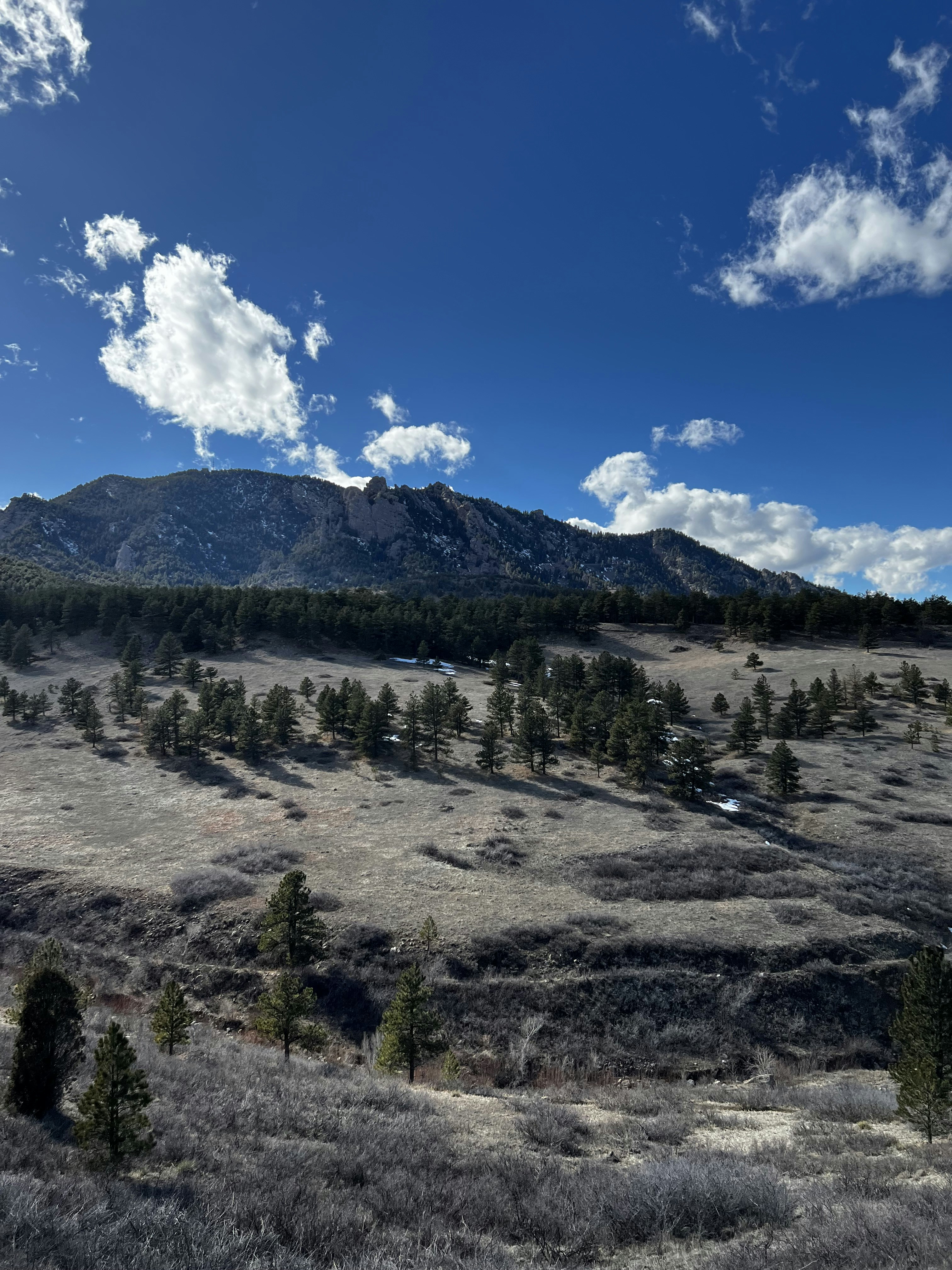 Photo by laitonbarbo