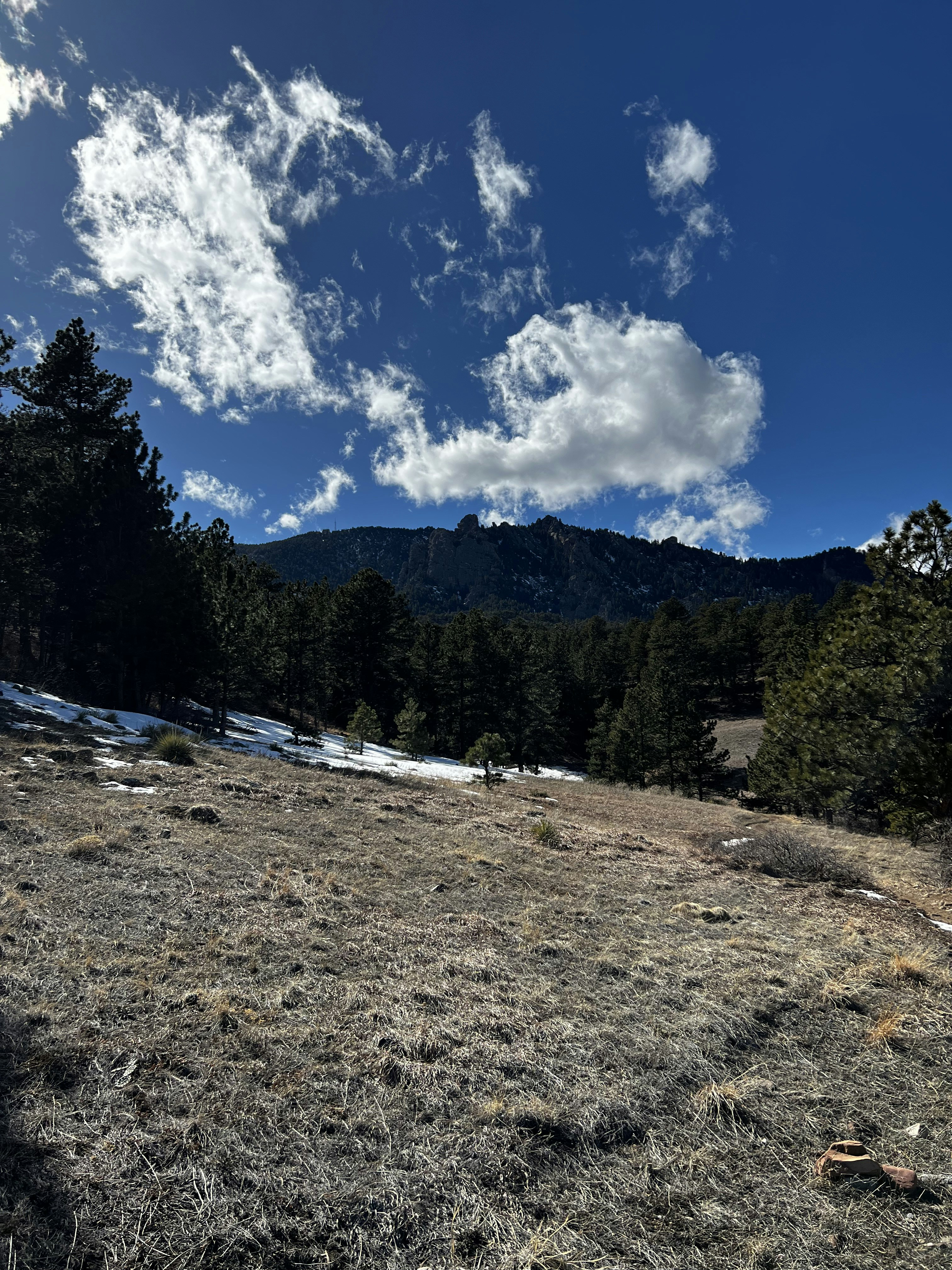 Photo by laitonbarbo