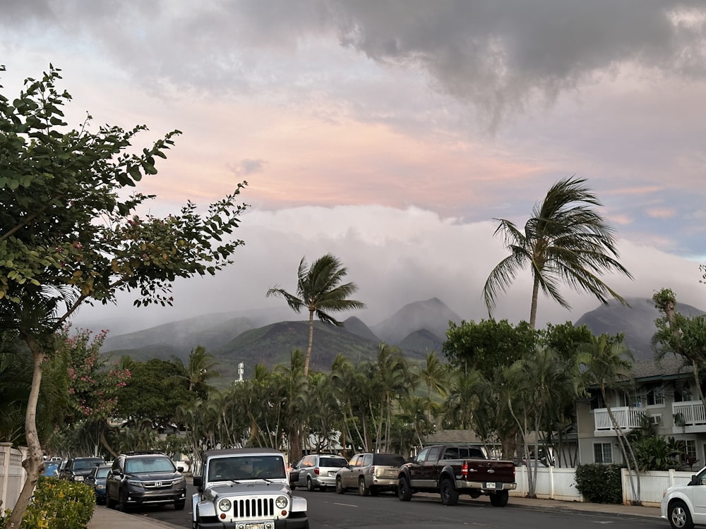 cars parked on the side of a road with mountains in the background