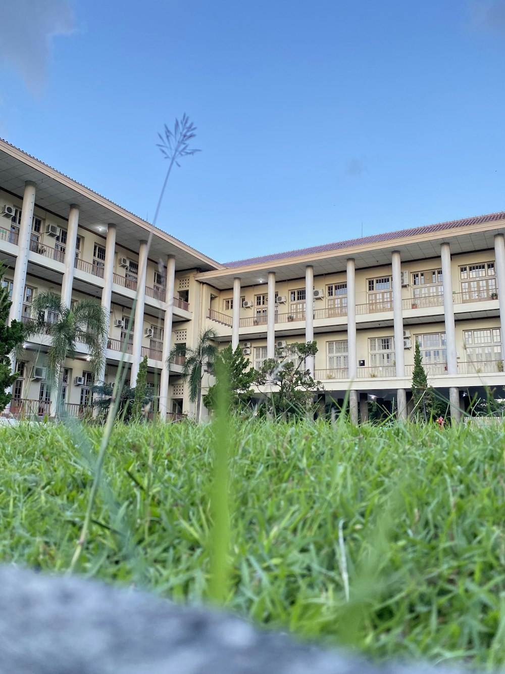 a view of a building from the grass