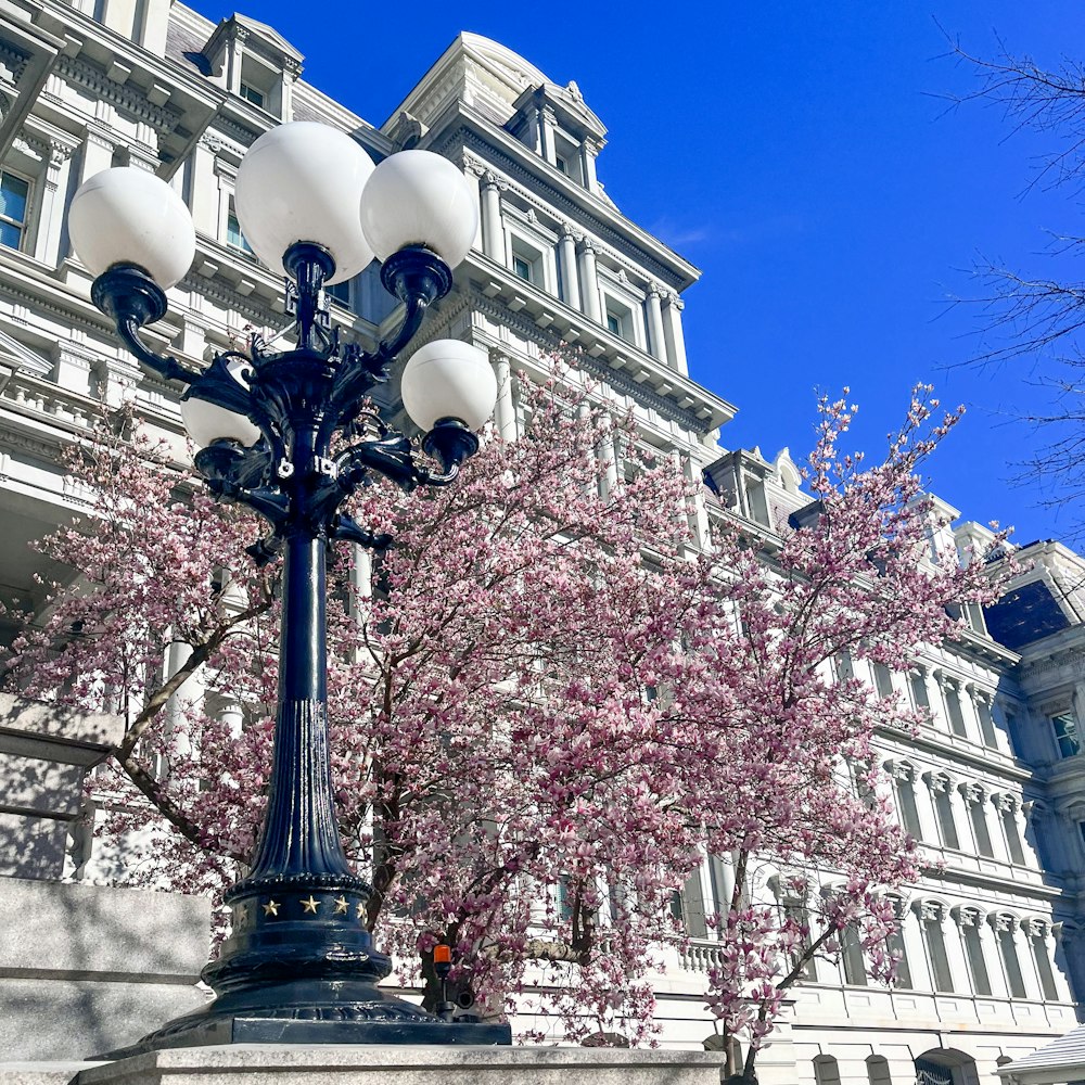 a lamp post in front of a large building