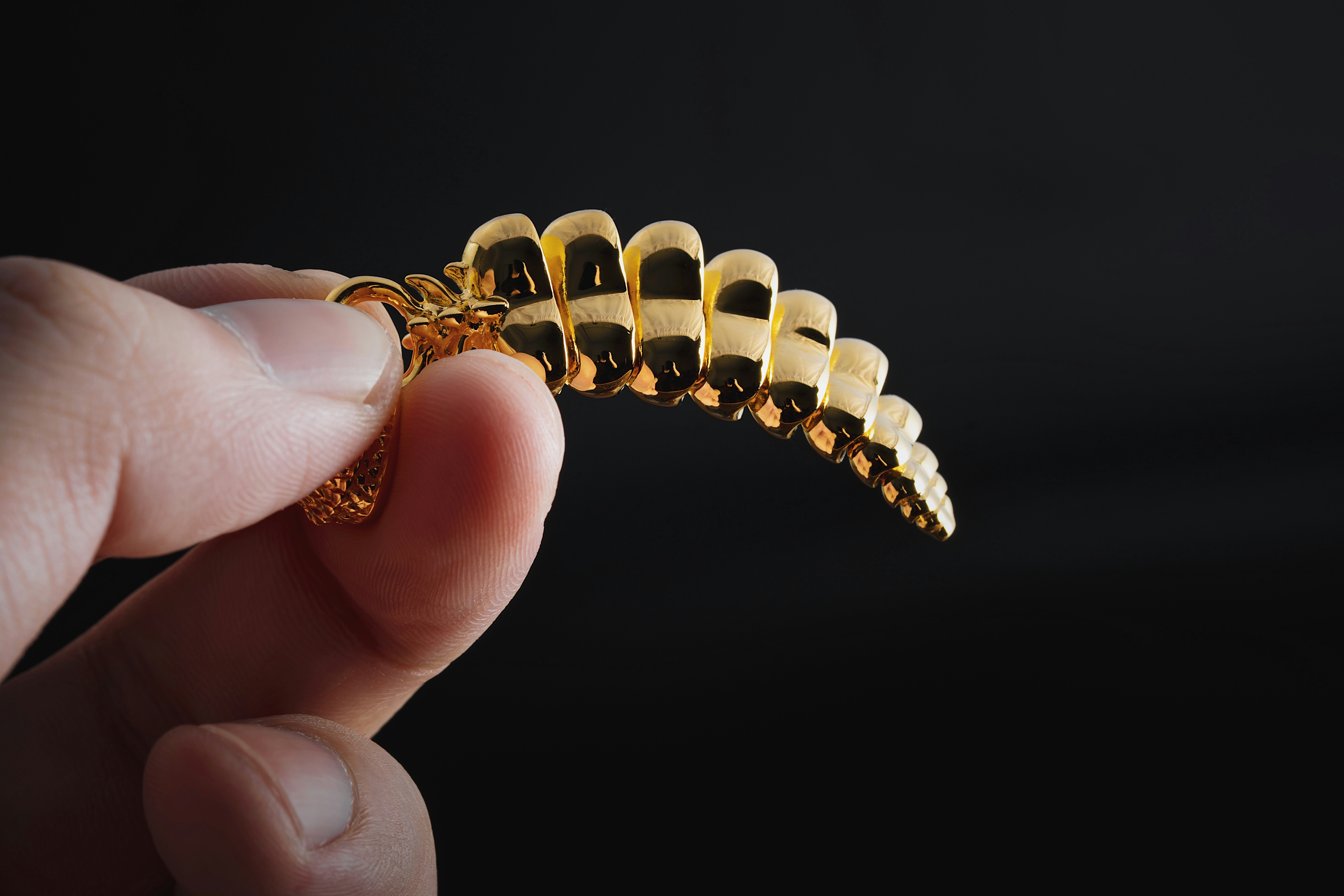 Photo by coppertistwu