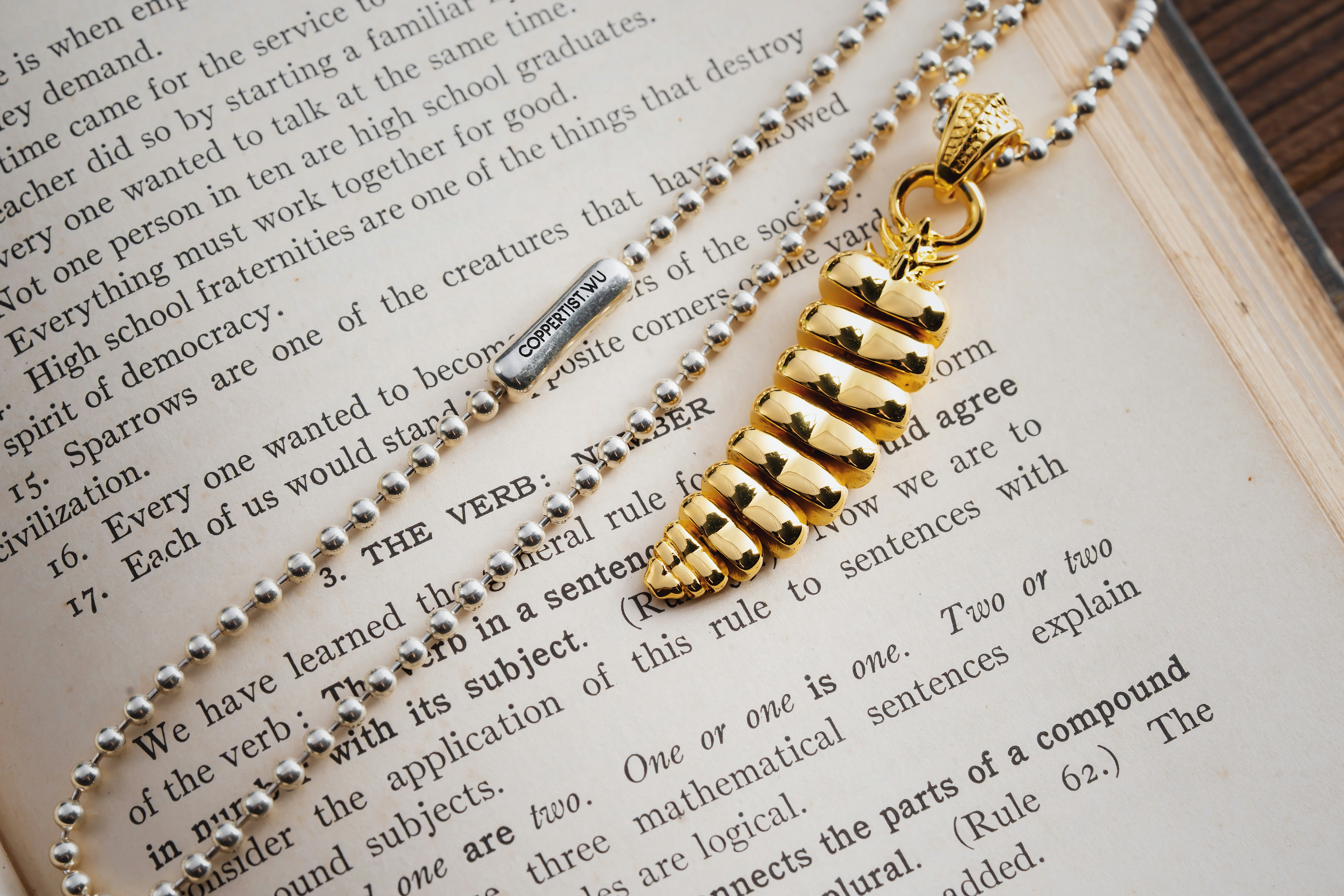 Photo by coppertistwu