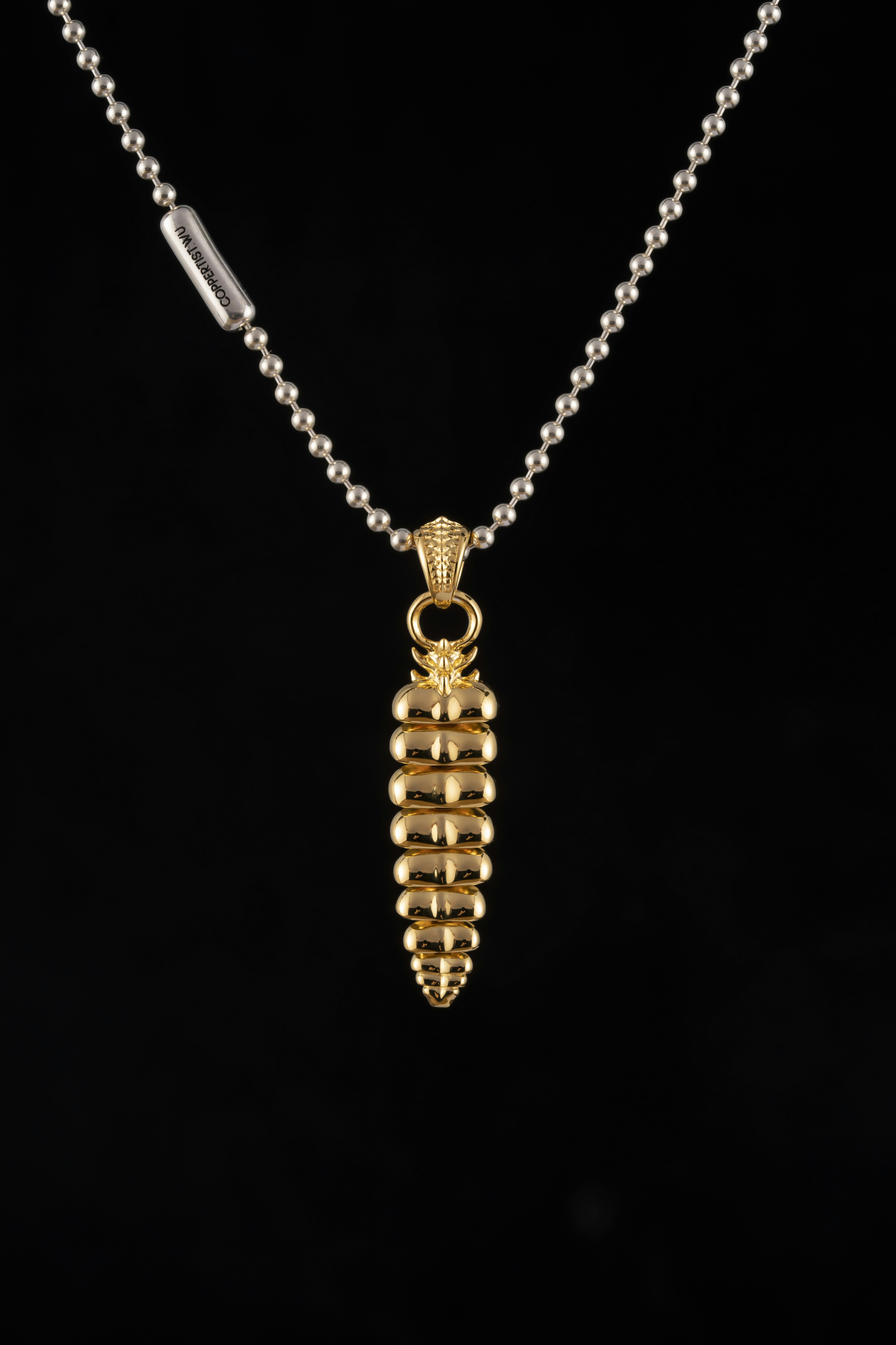 Um colar de ouro com um pingente pendurado nele foto – Imagem grátis sobre  Joalheria na Unsplash, image size:3000x4500