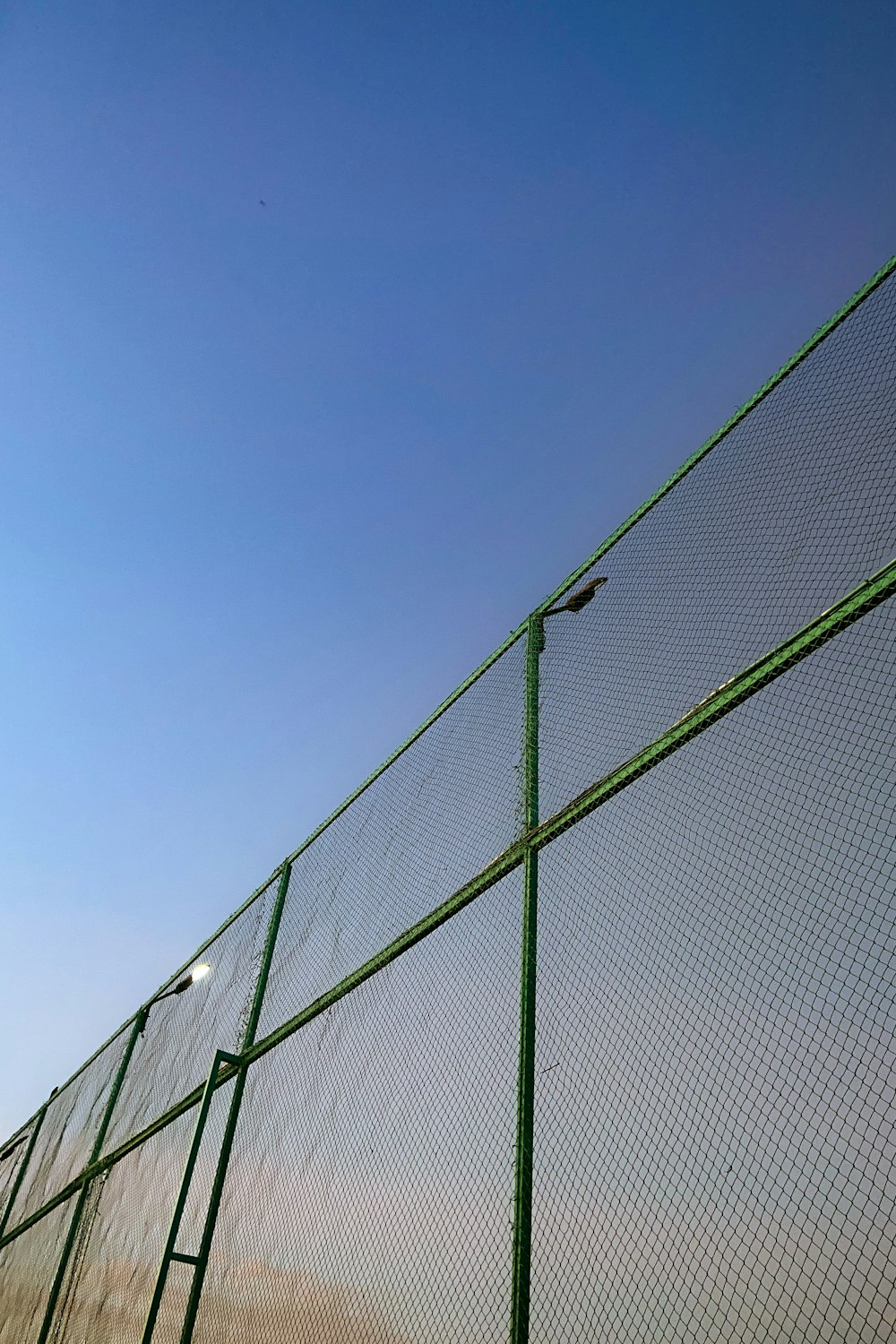 a bird is perched on the top of a fence