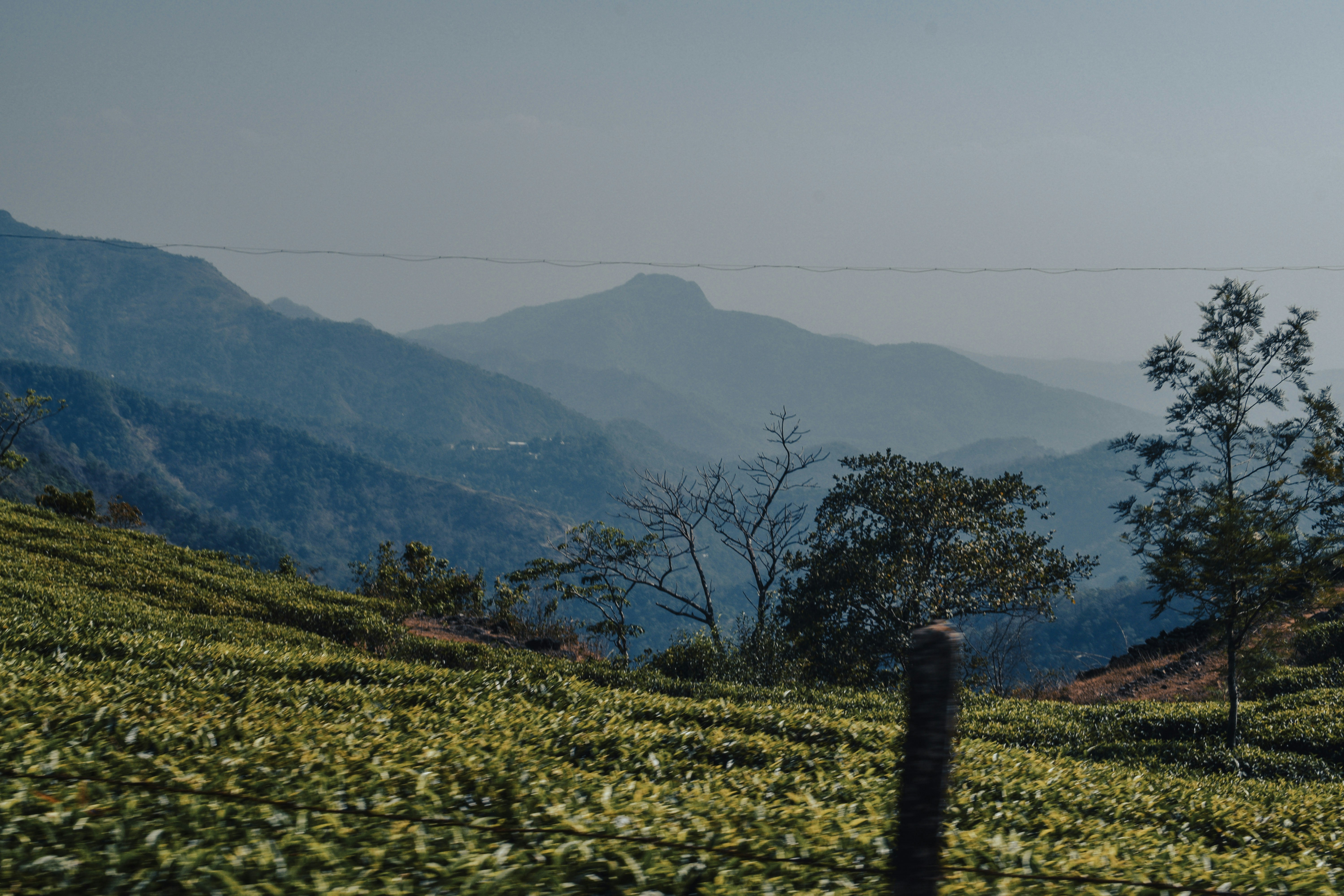 Photo by mohnishlandge