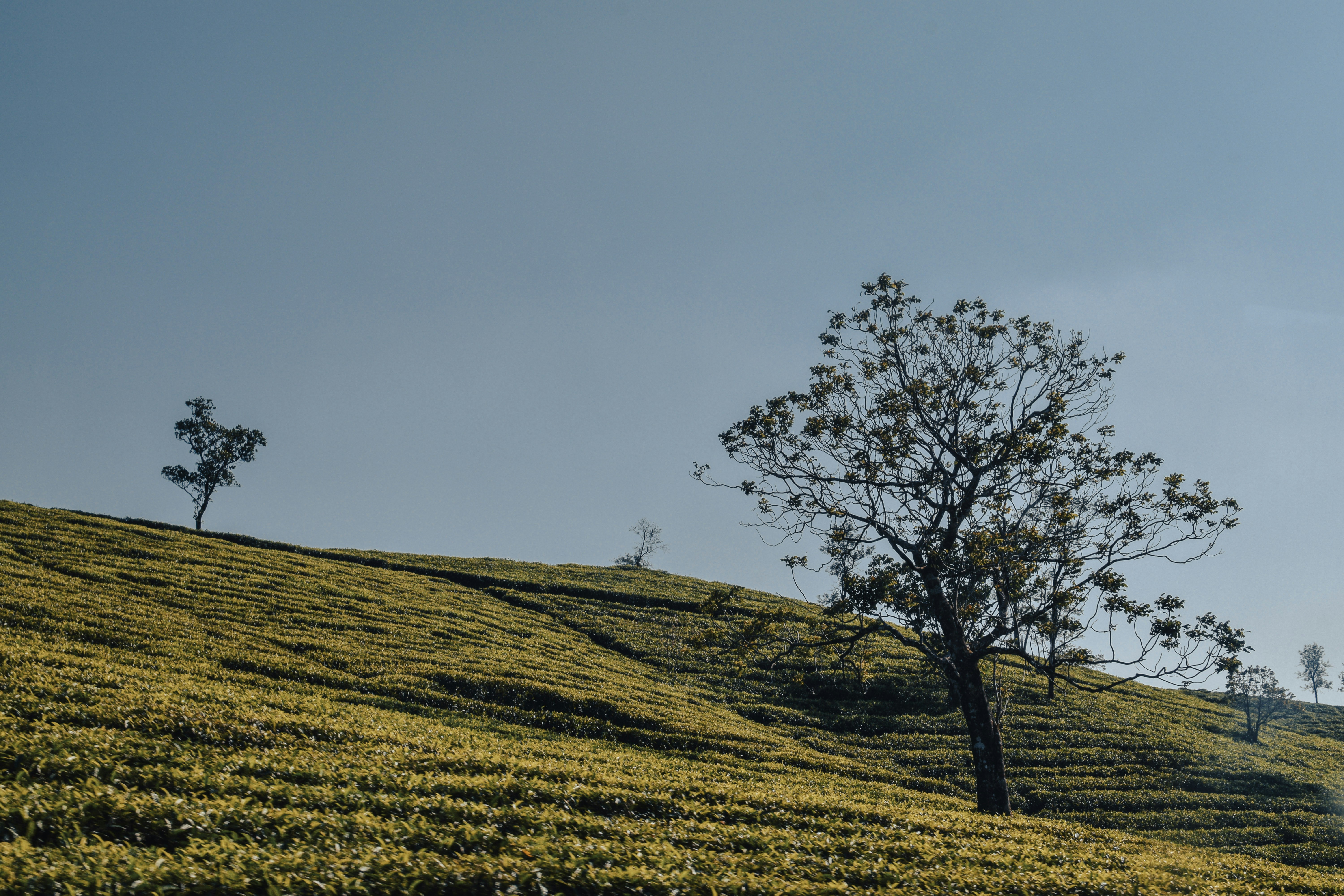 Photo by mohnishlandge