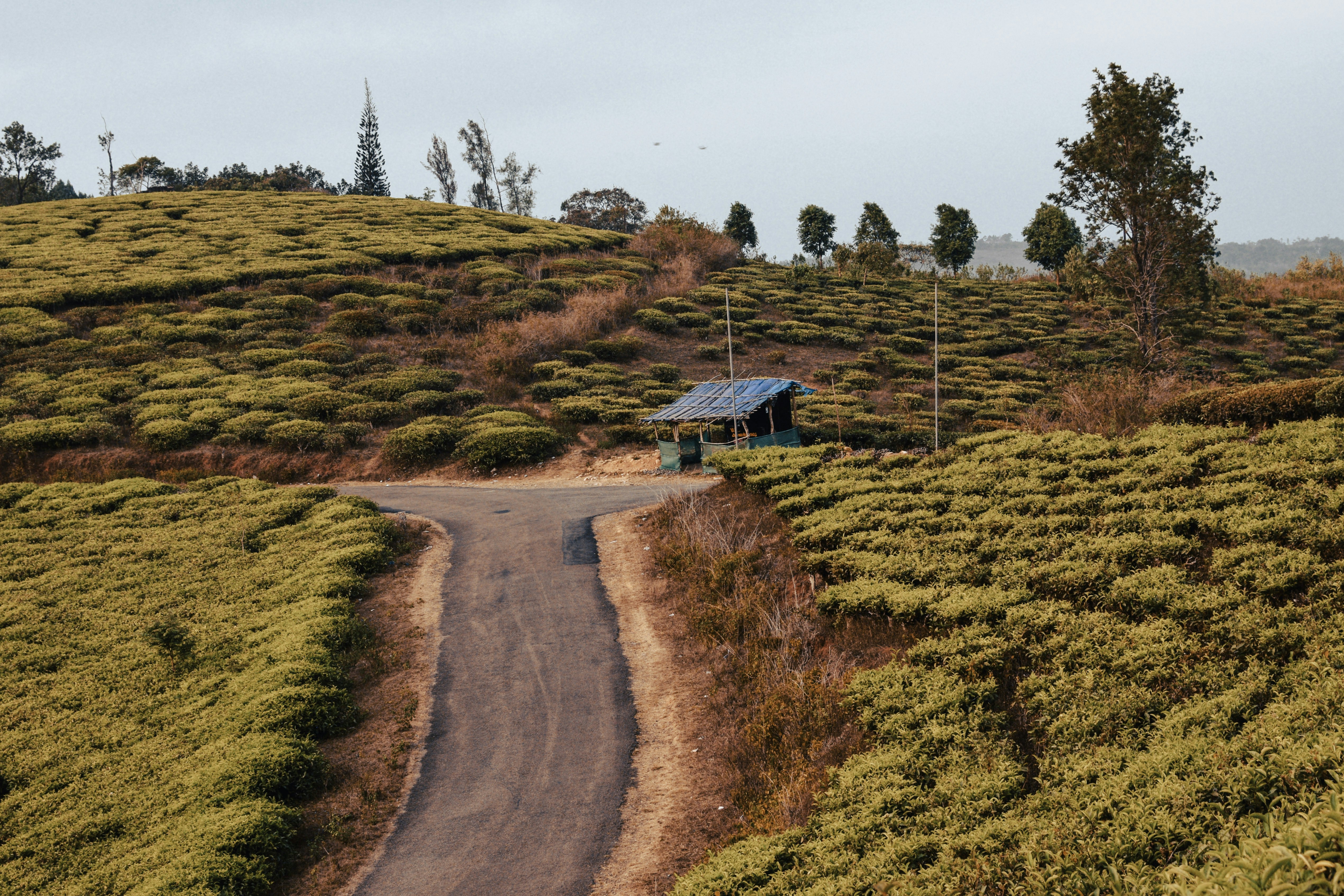 Photo by mohnishlandge