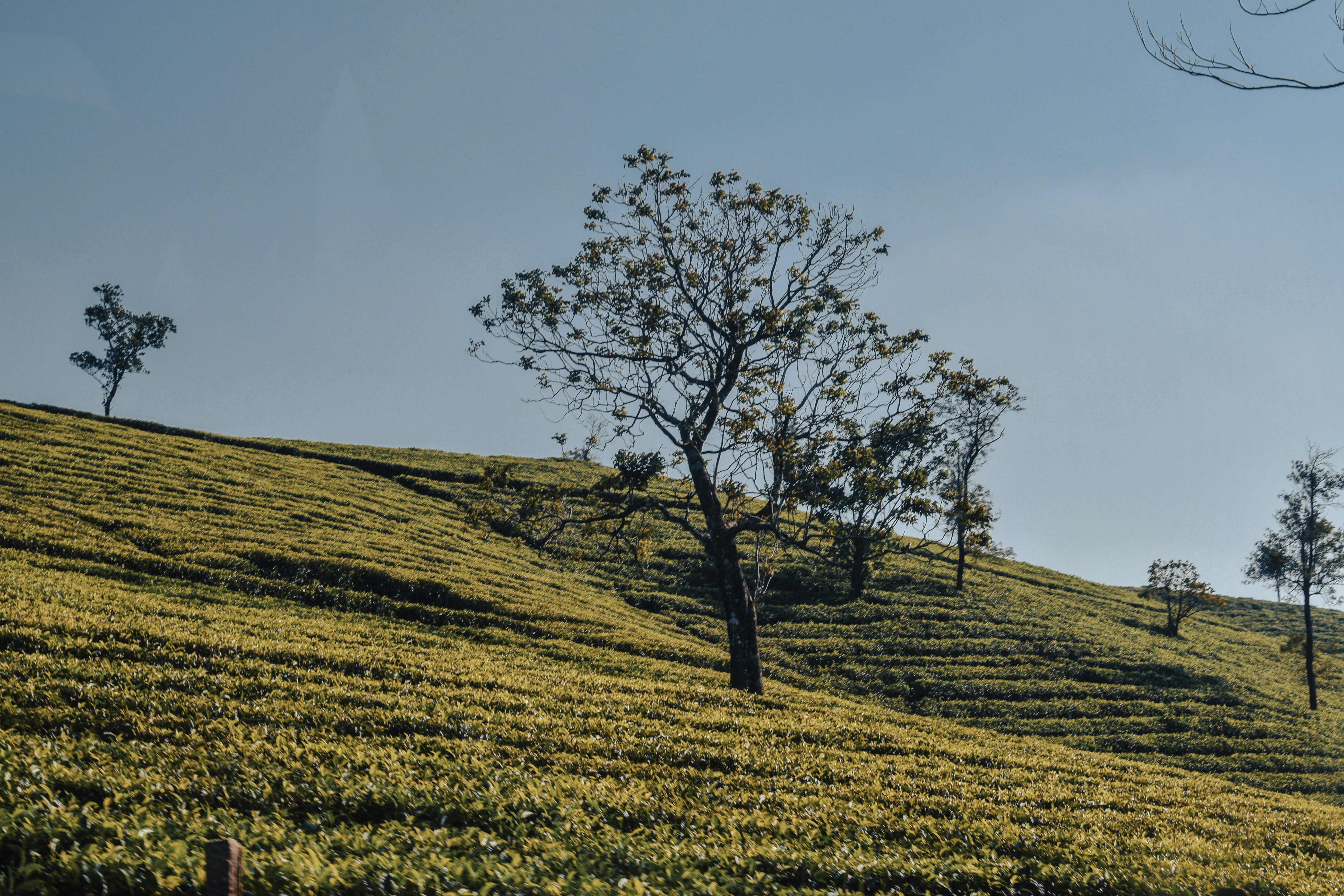 Photo by mohnishlandge