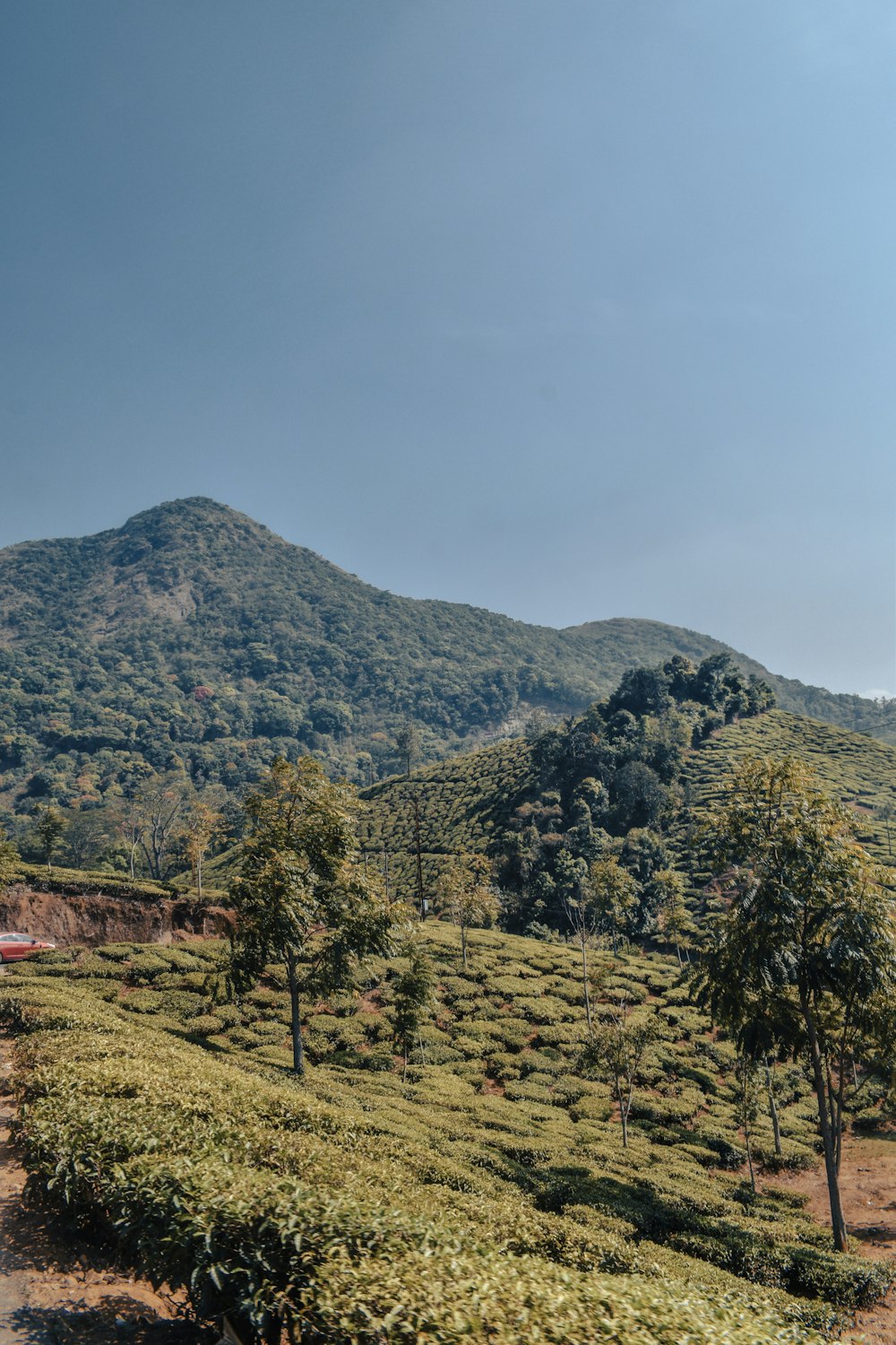 a scenic view of a mountain range with trees and bushes