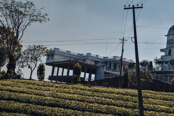 A modern, flat-roofed white house elevated on stilts near a hillside with terraced greenery. Tall trees and shrubs are visible around the property. Several power lines and poles are in the foreground under a clear, slightly overcast sky.