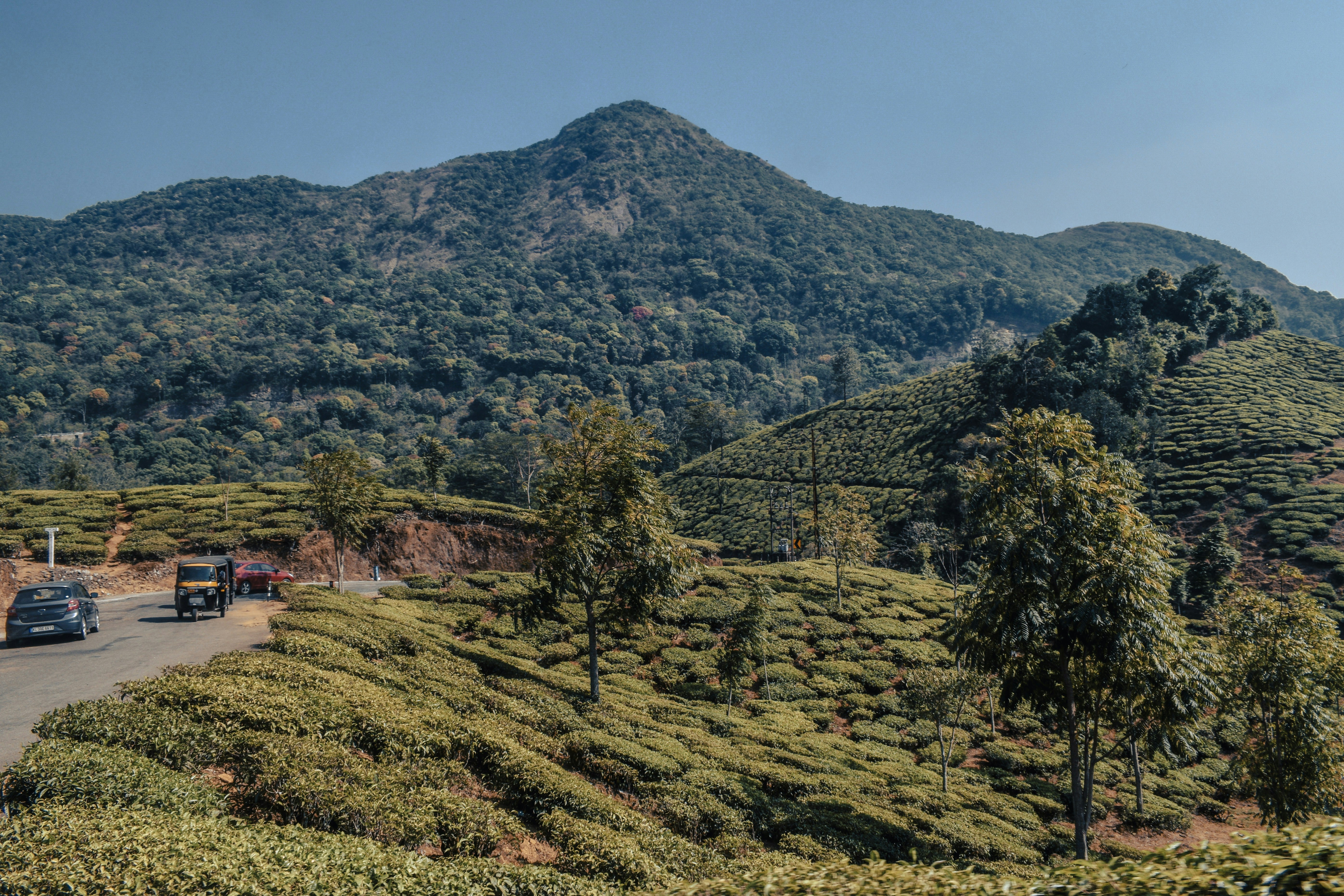 Photo by mohnishlandge