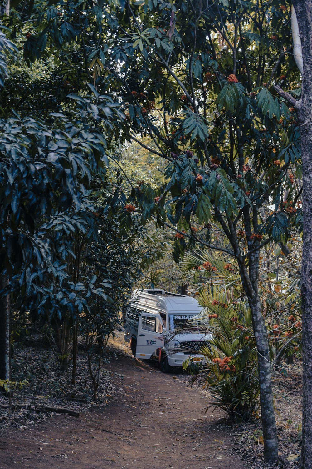 a camper parked in the middle of a forest