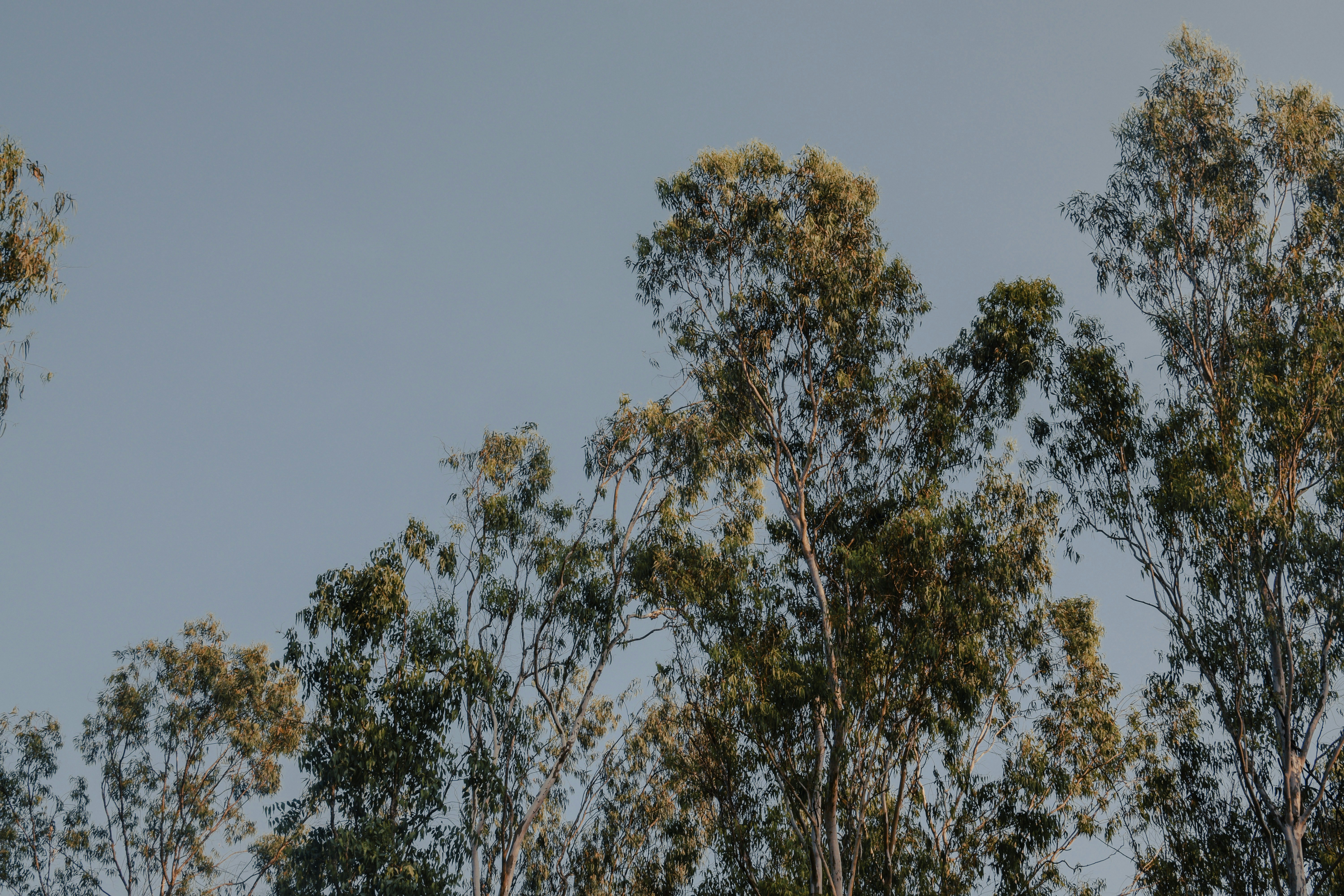 Photo by mohnishlandge