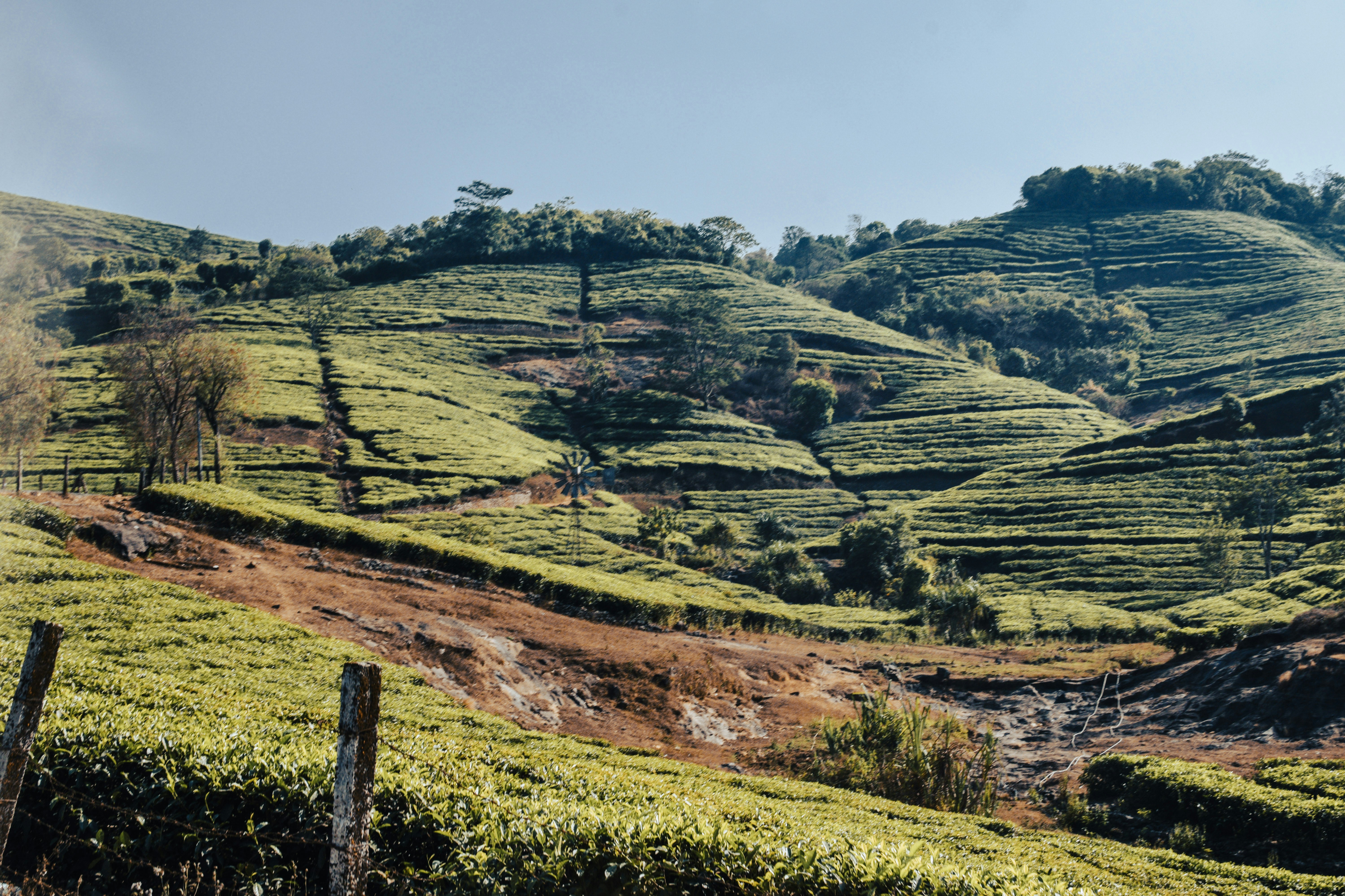 Photo by mohnishlandge