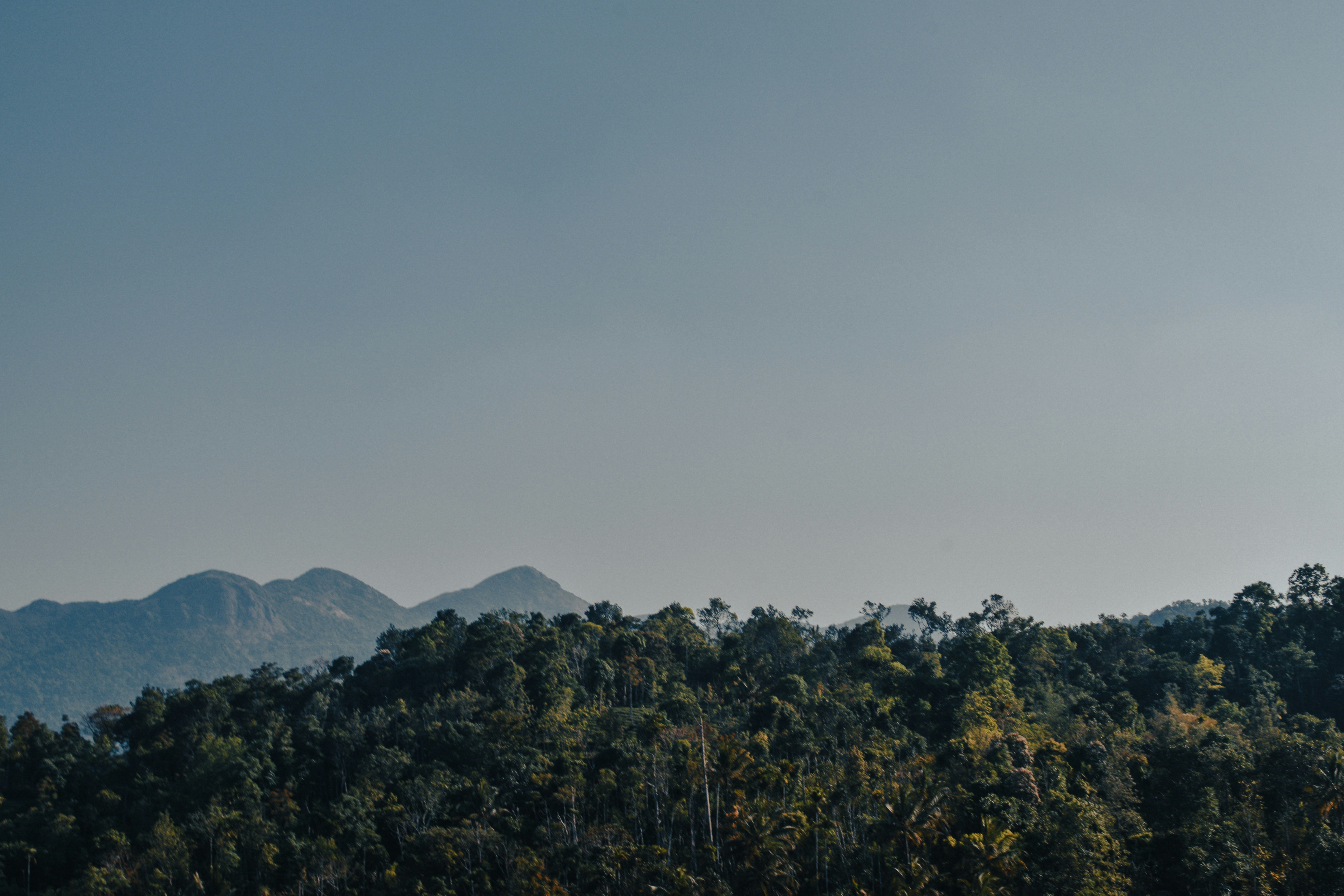 Photo by mohnishlandge