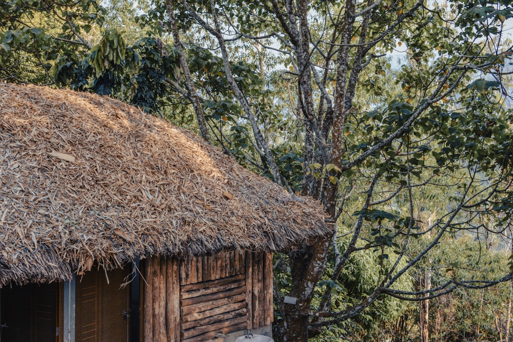 a small hut with a thatched roof in the woods