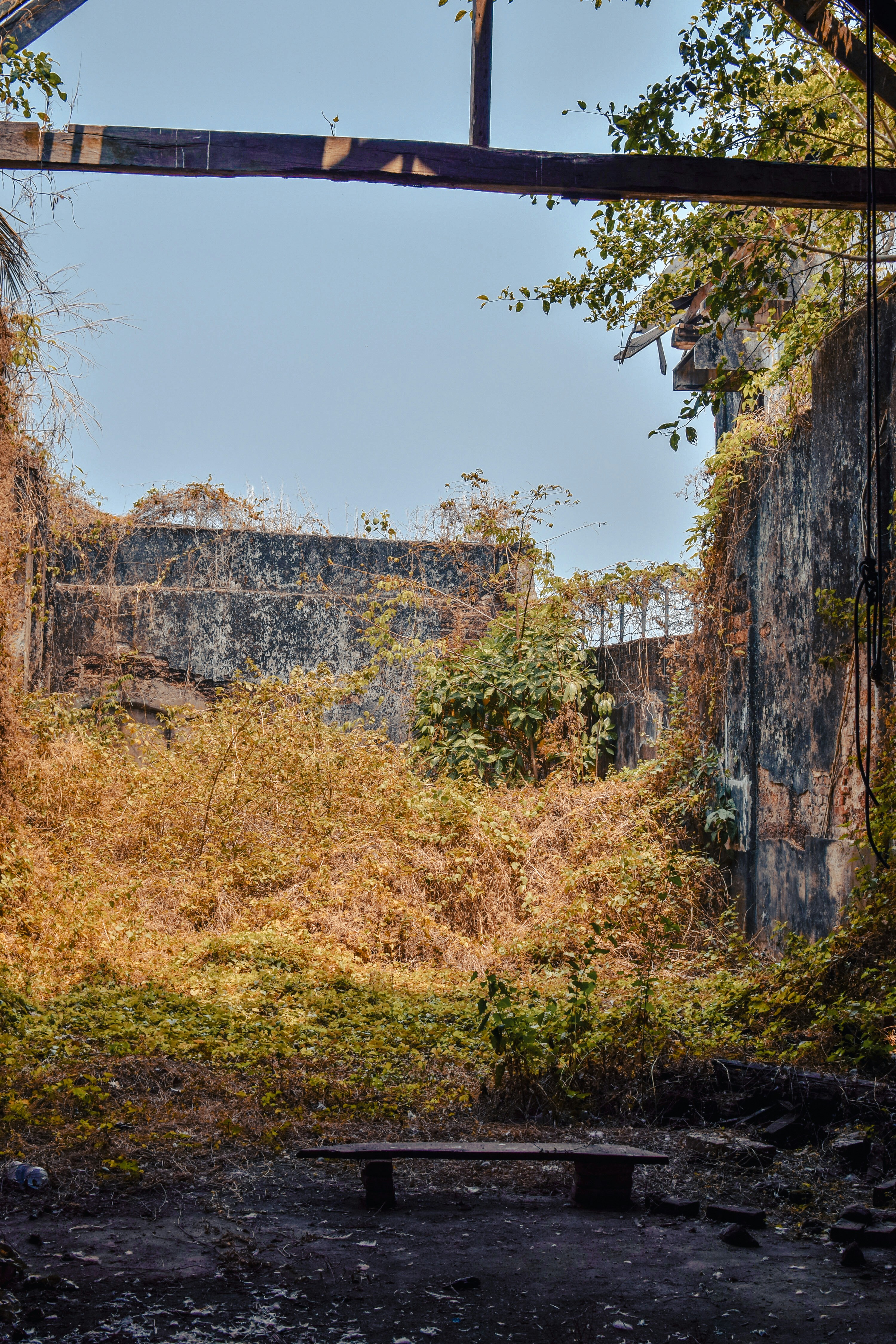 Photo by mohnishlandge