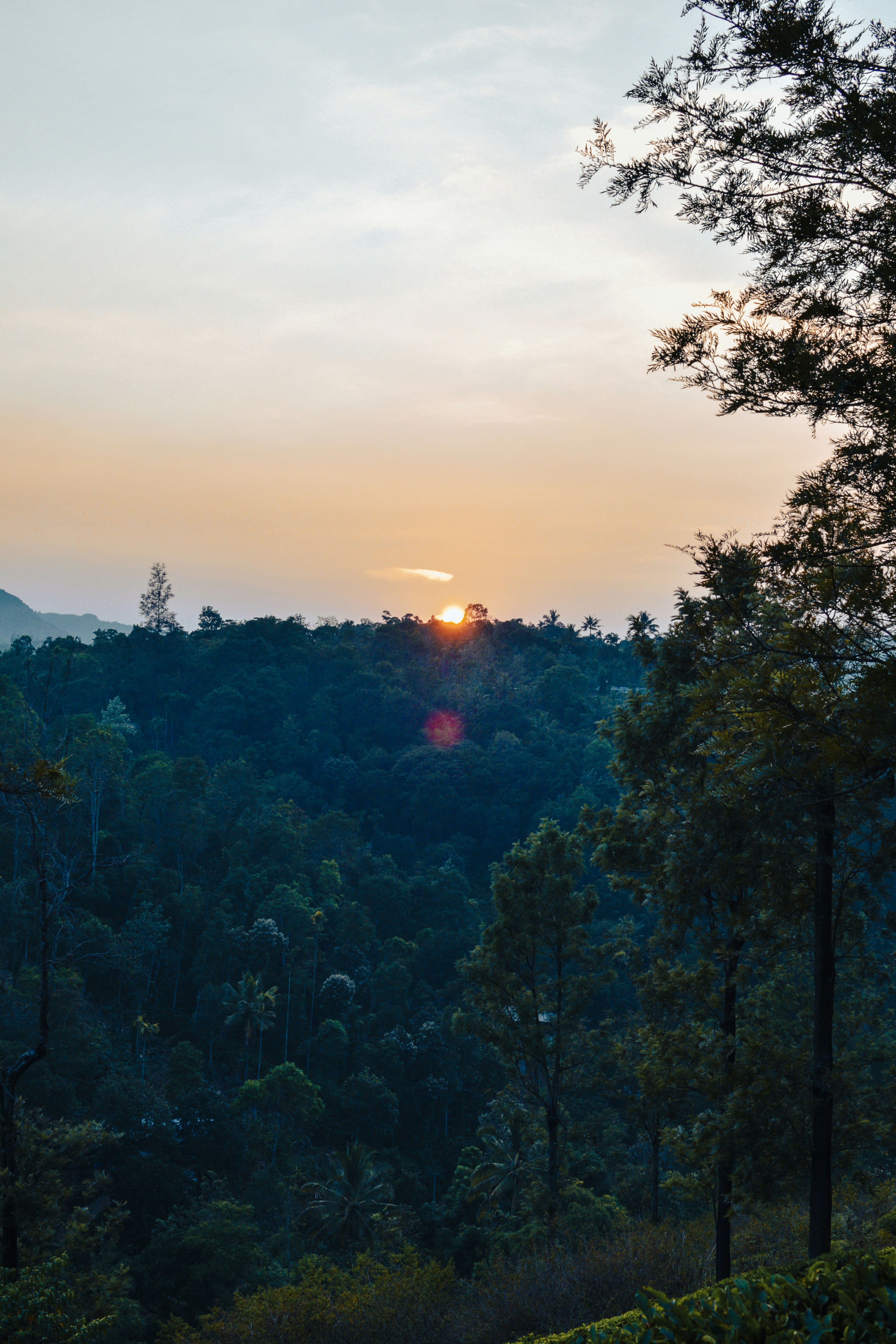 Photo by mohnishlandge