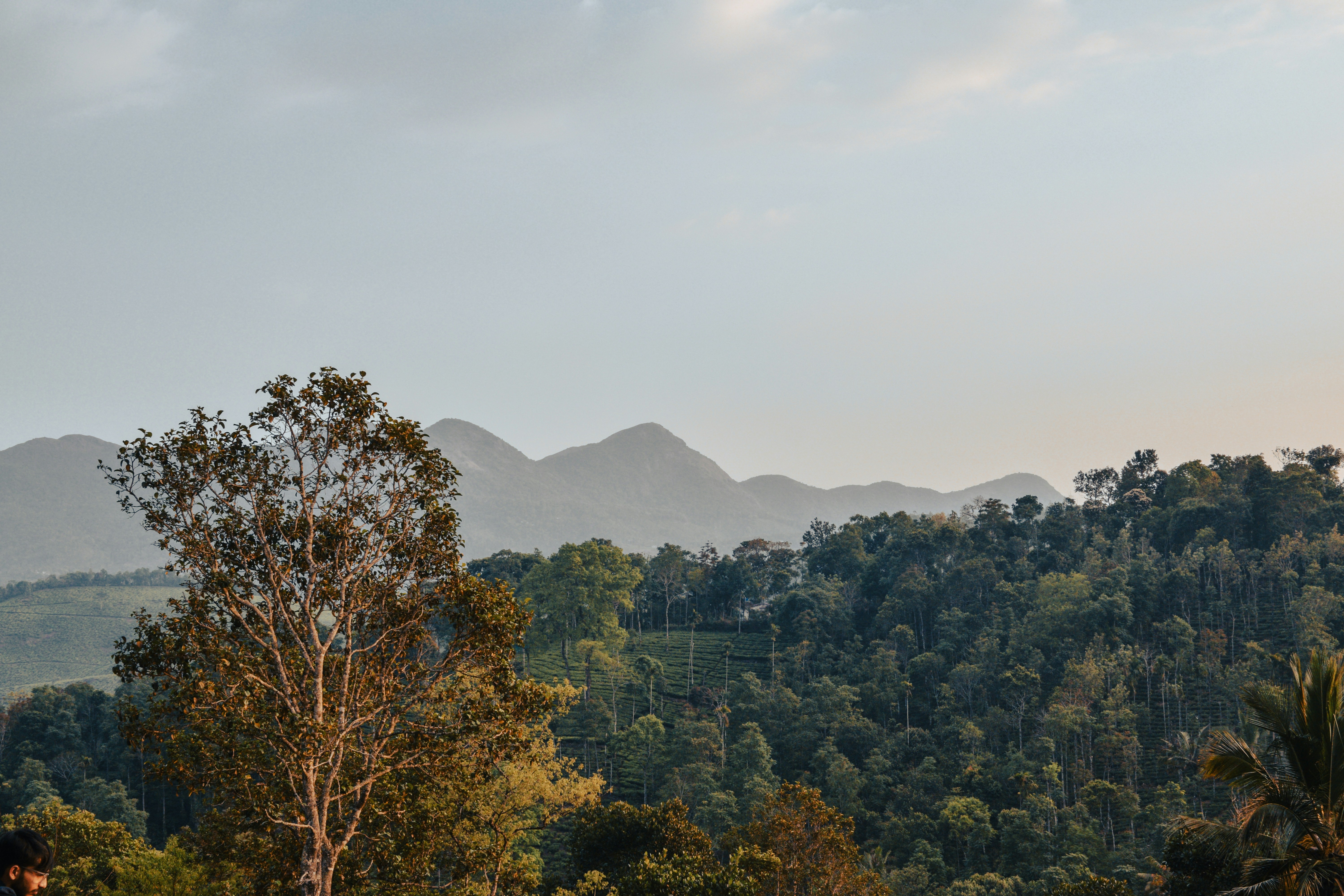 Photo by mohnishlandge