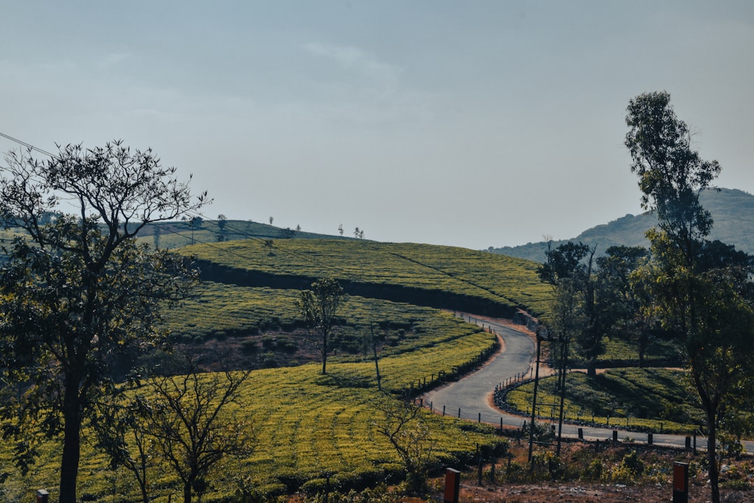 Untamed India Exploring Destinations Beyond the Tourist Rush - Navi… — Untamed India Exploring Destinations Beyond the